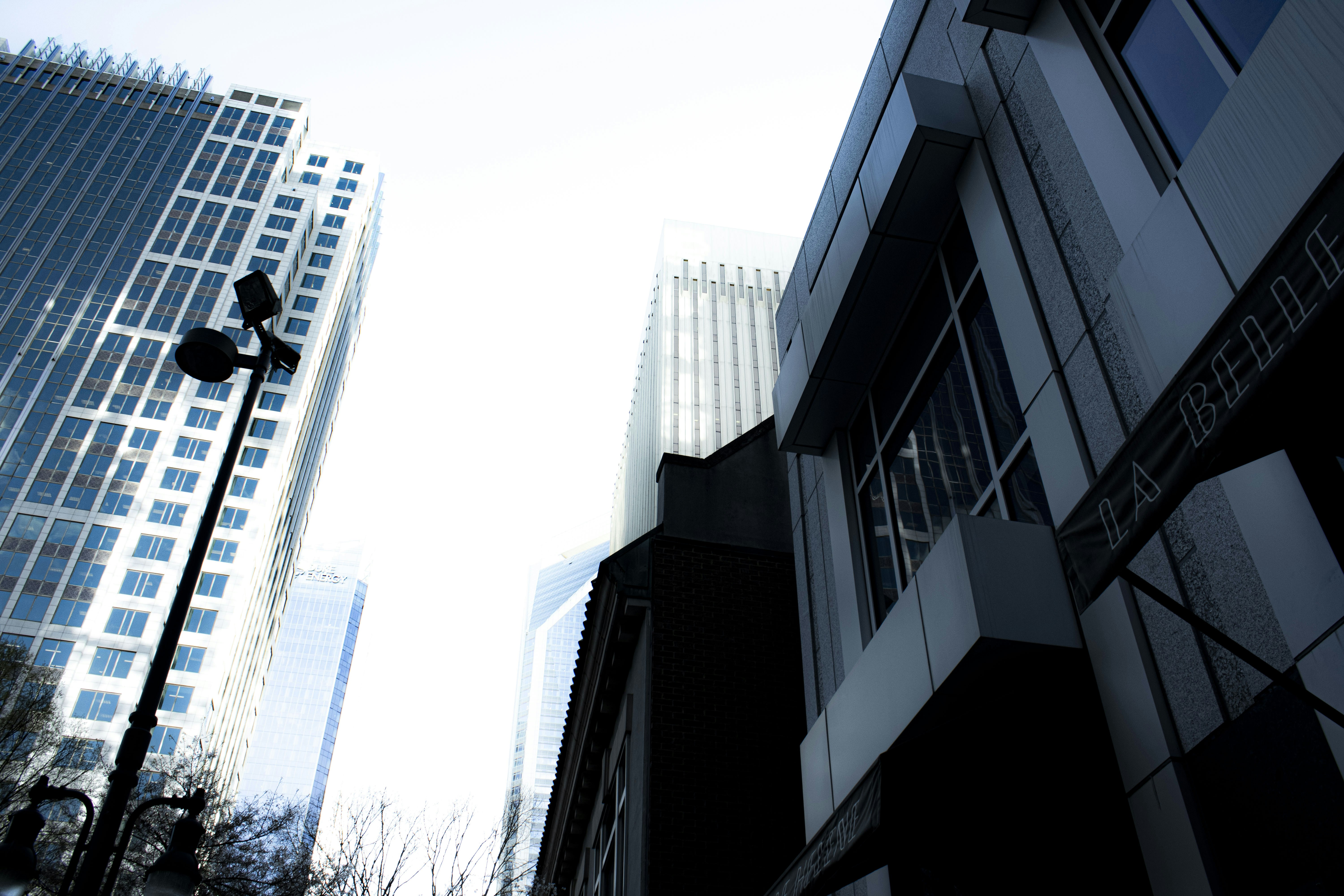 Photo by paigelaineelmer_photos