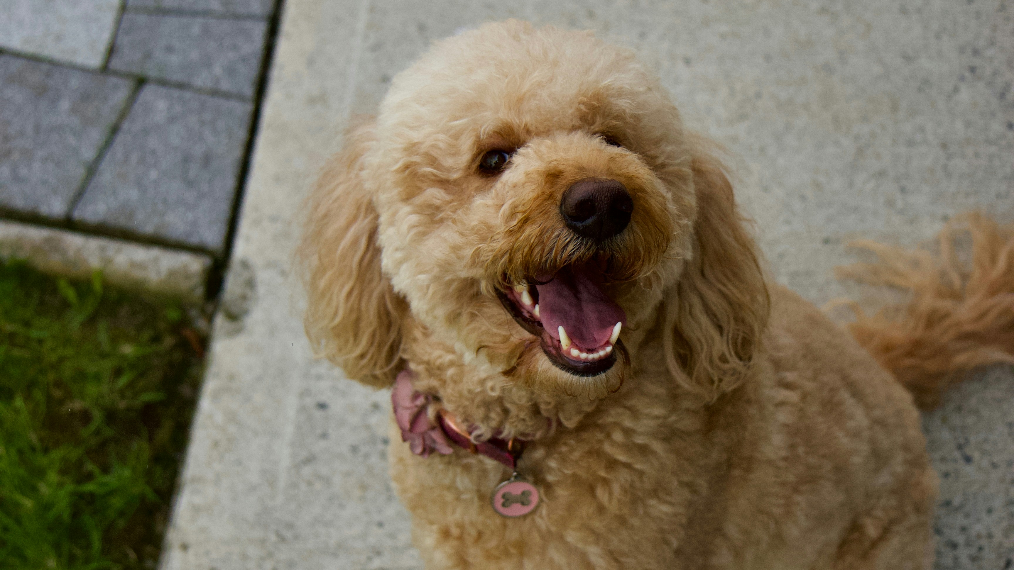 Photo by kalibermann