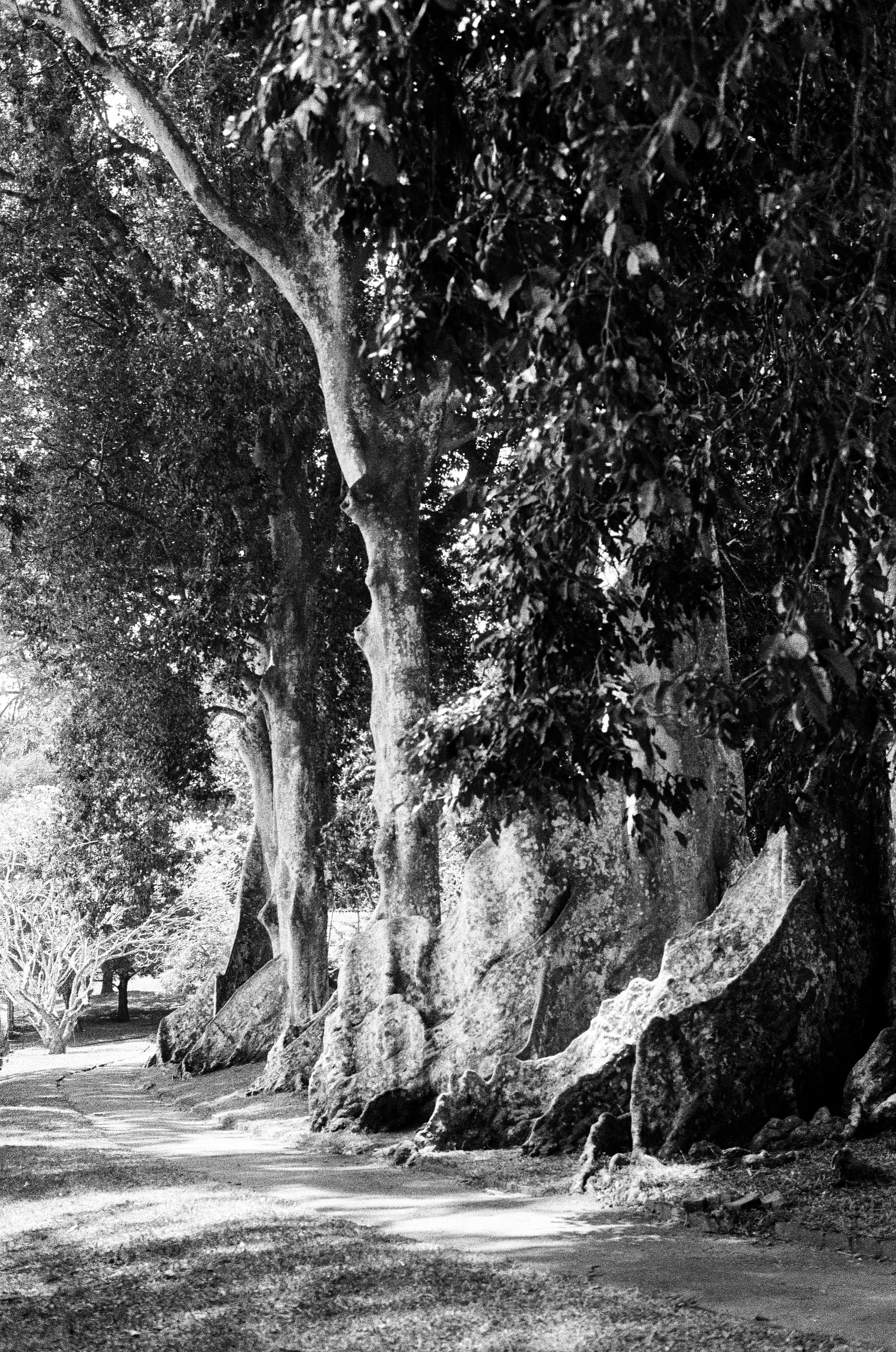 Photo by dashaatkinson