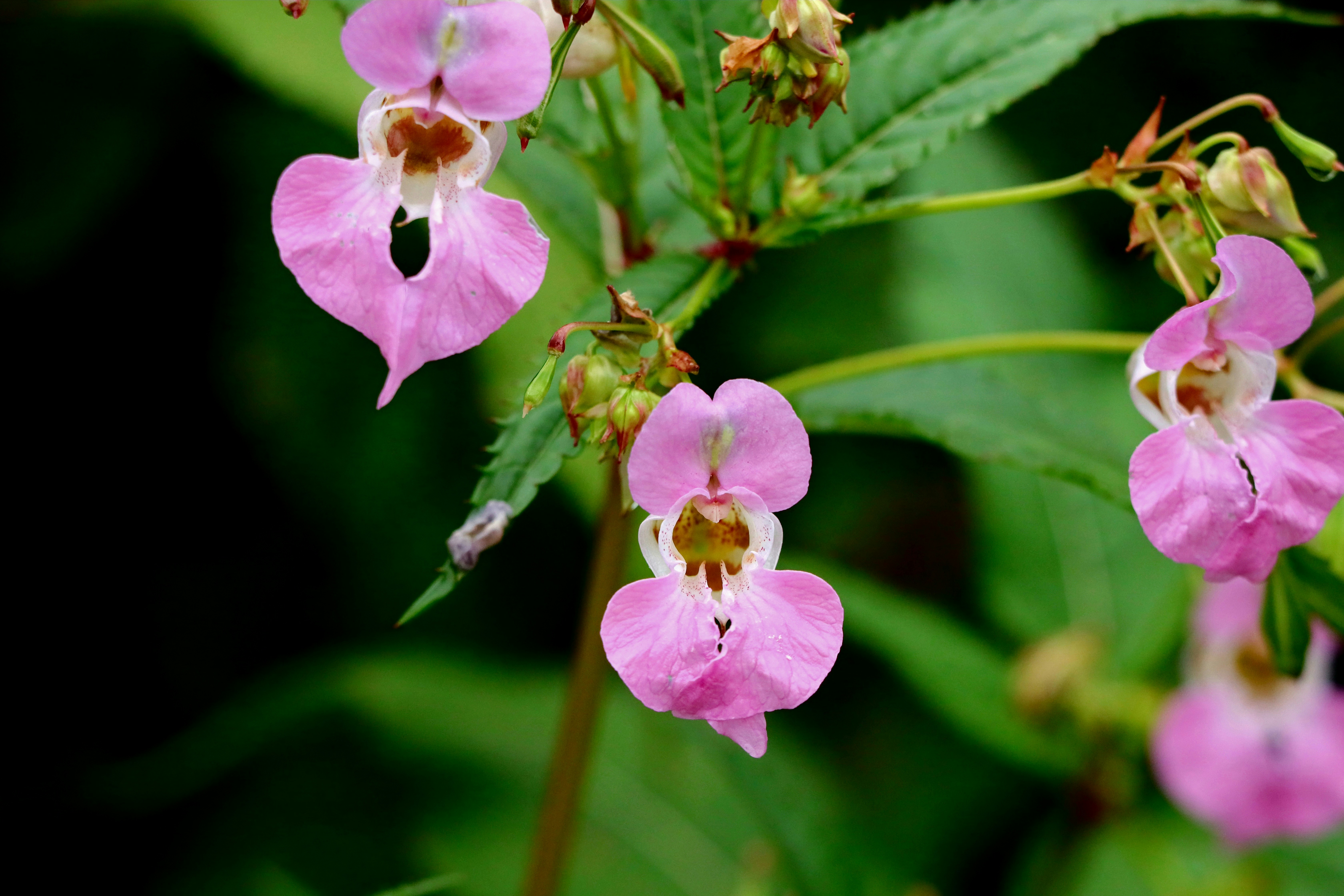 Photo by richardworks