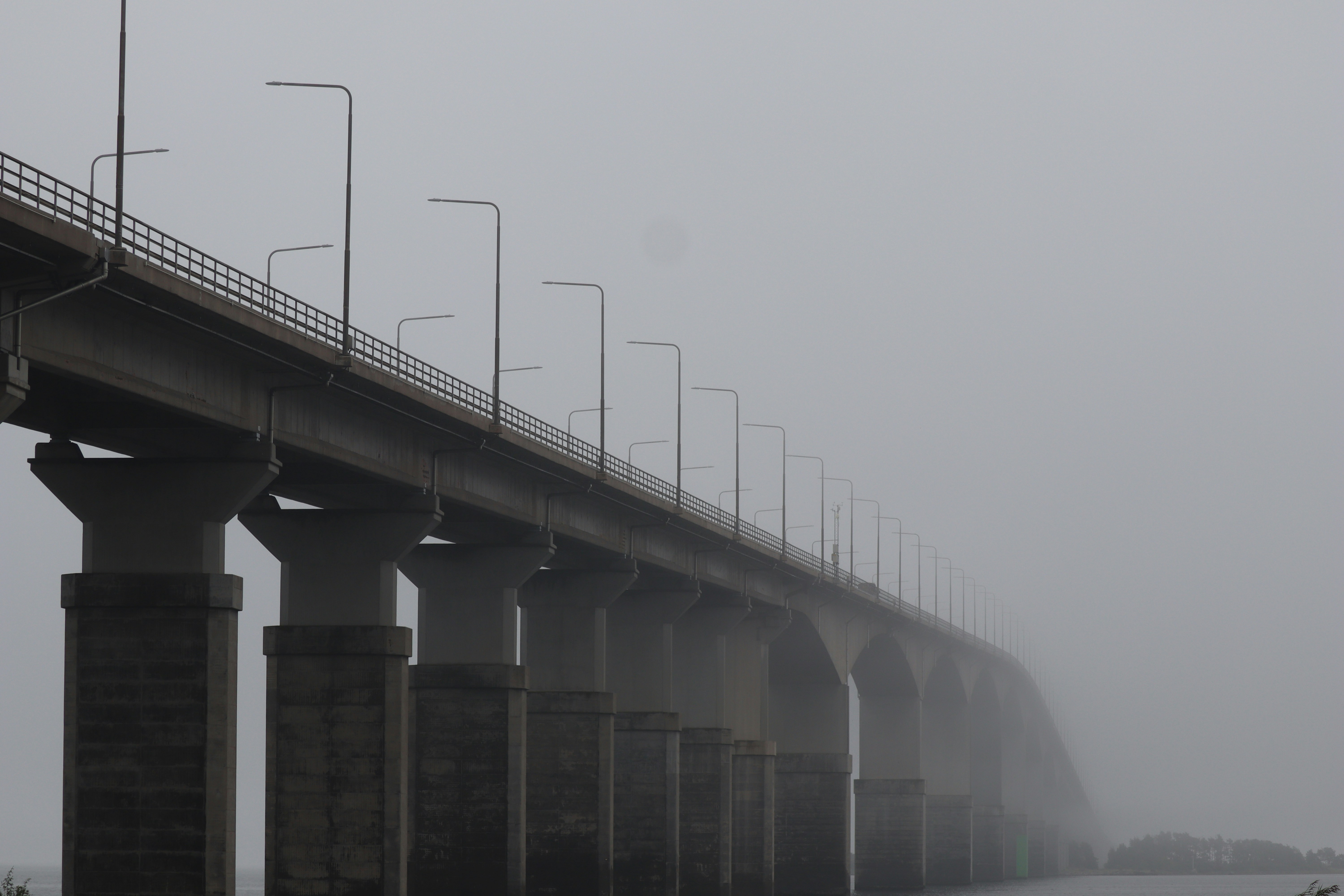 Photo by fliesentischfotograf