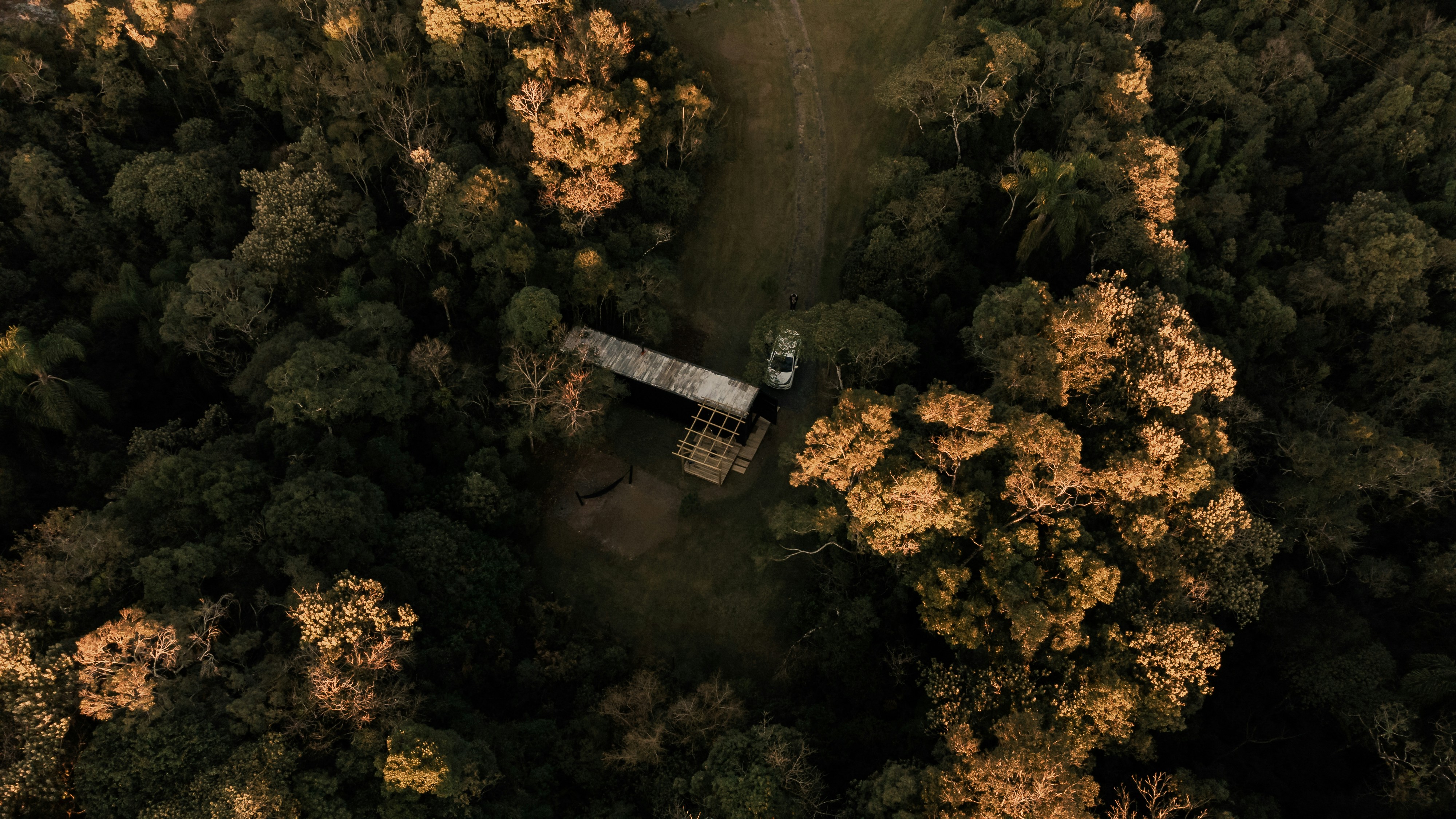 Photo by alexandermassph