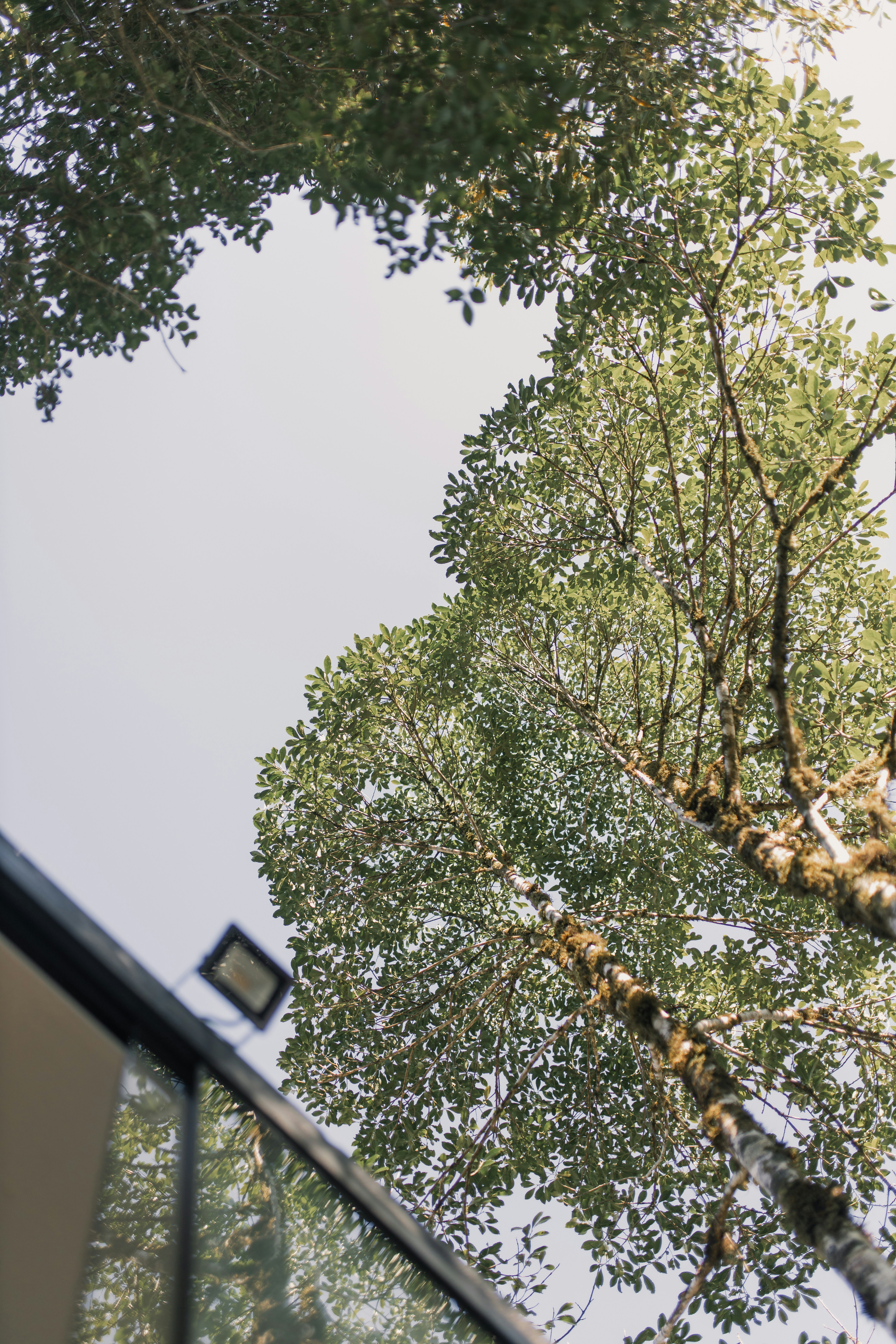 Photo by alexandermassph