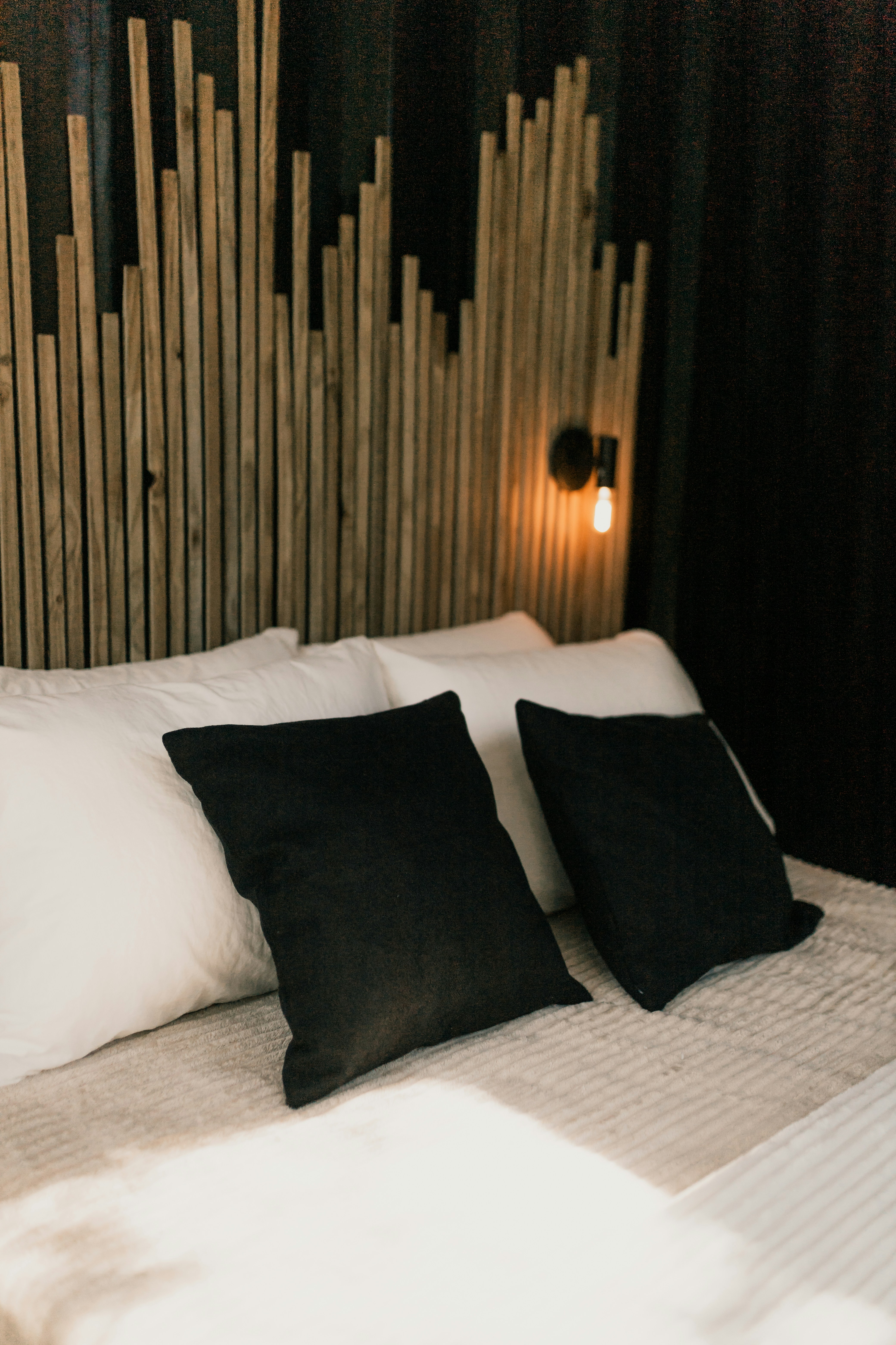 Photo by alexandermassph