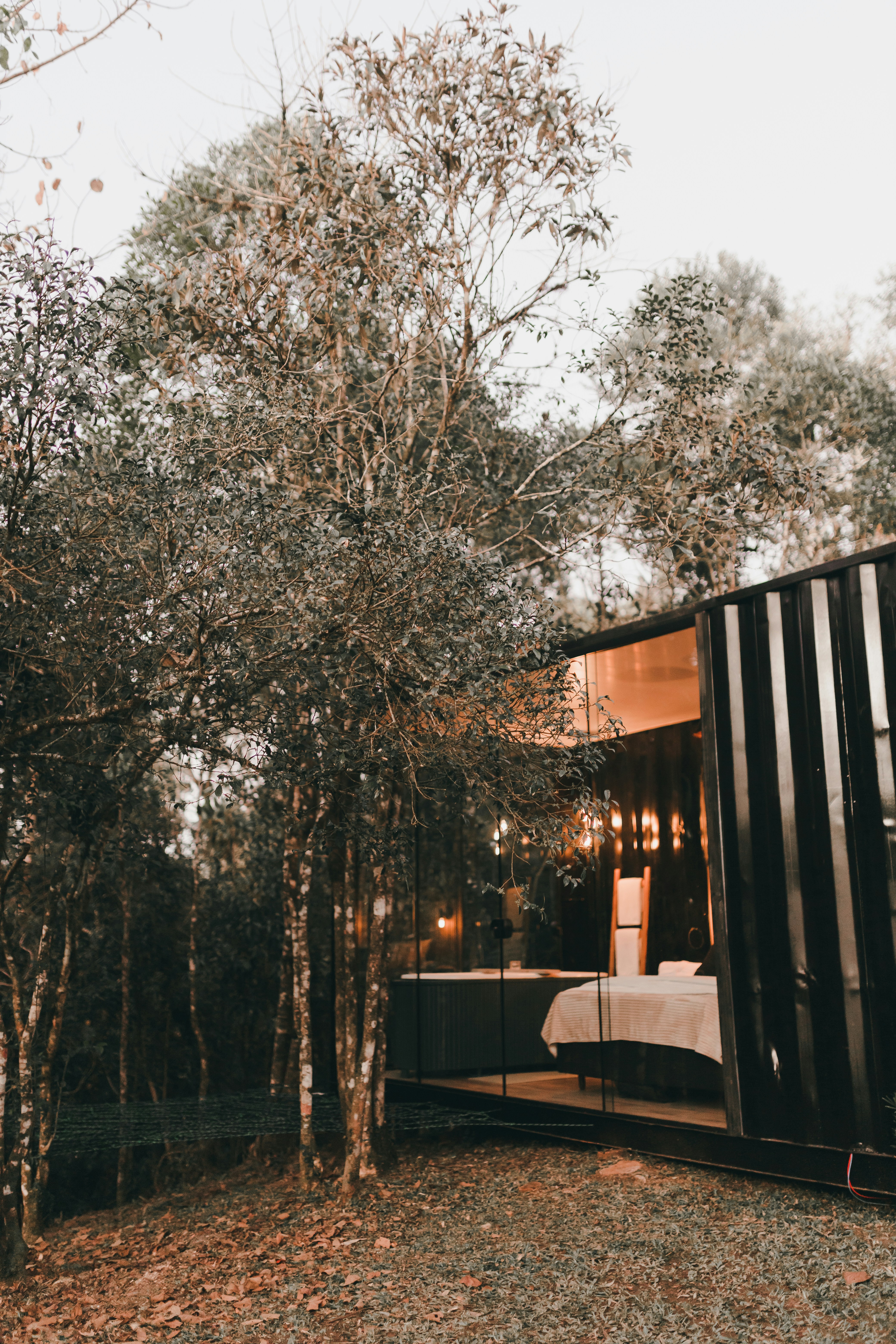 Photo by alexandermassph