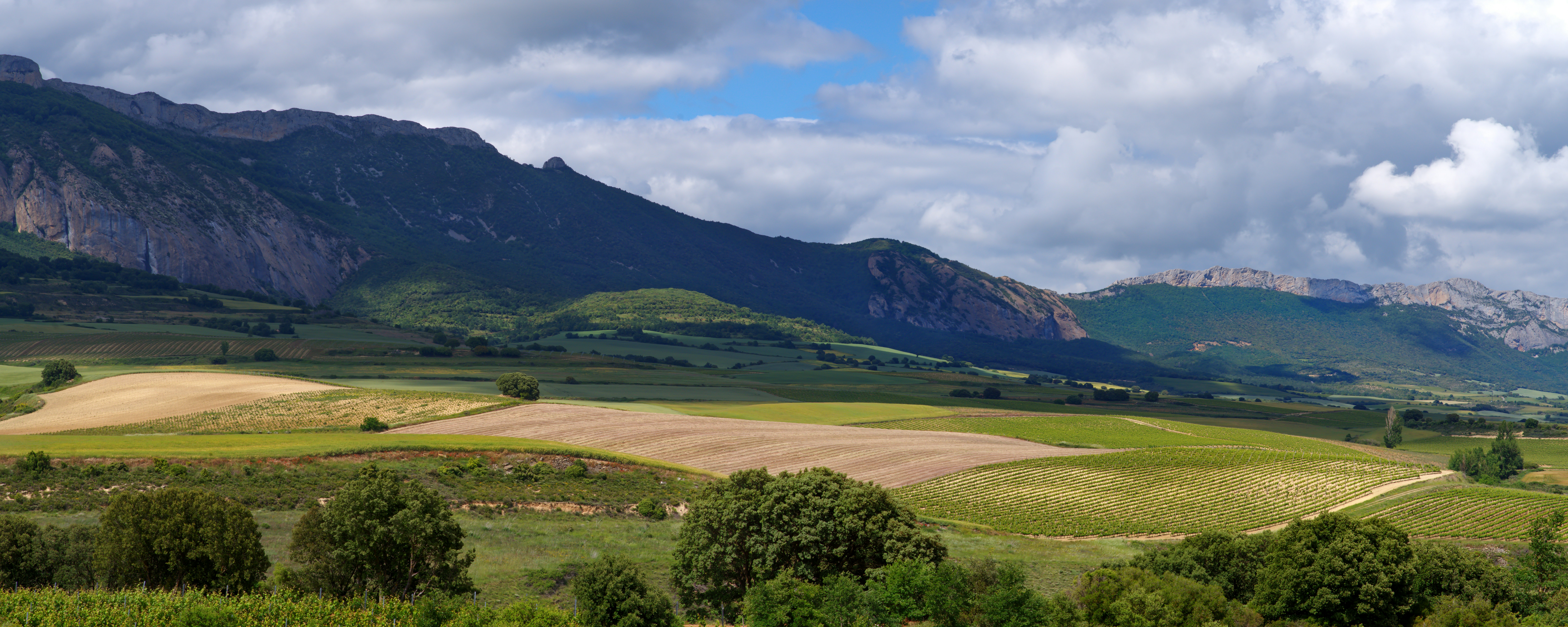 A field with mountains in the background