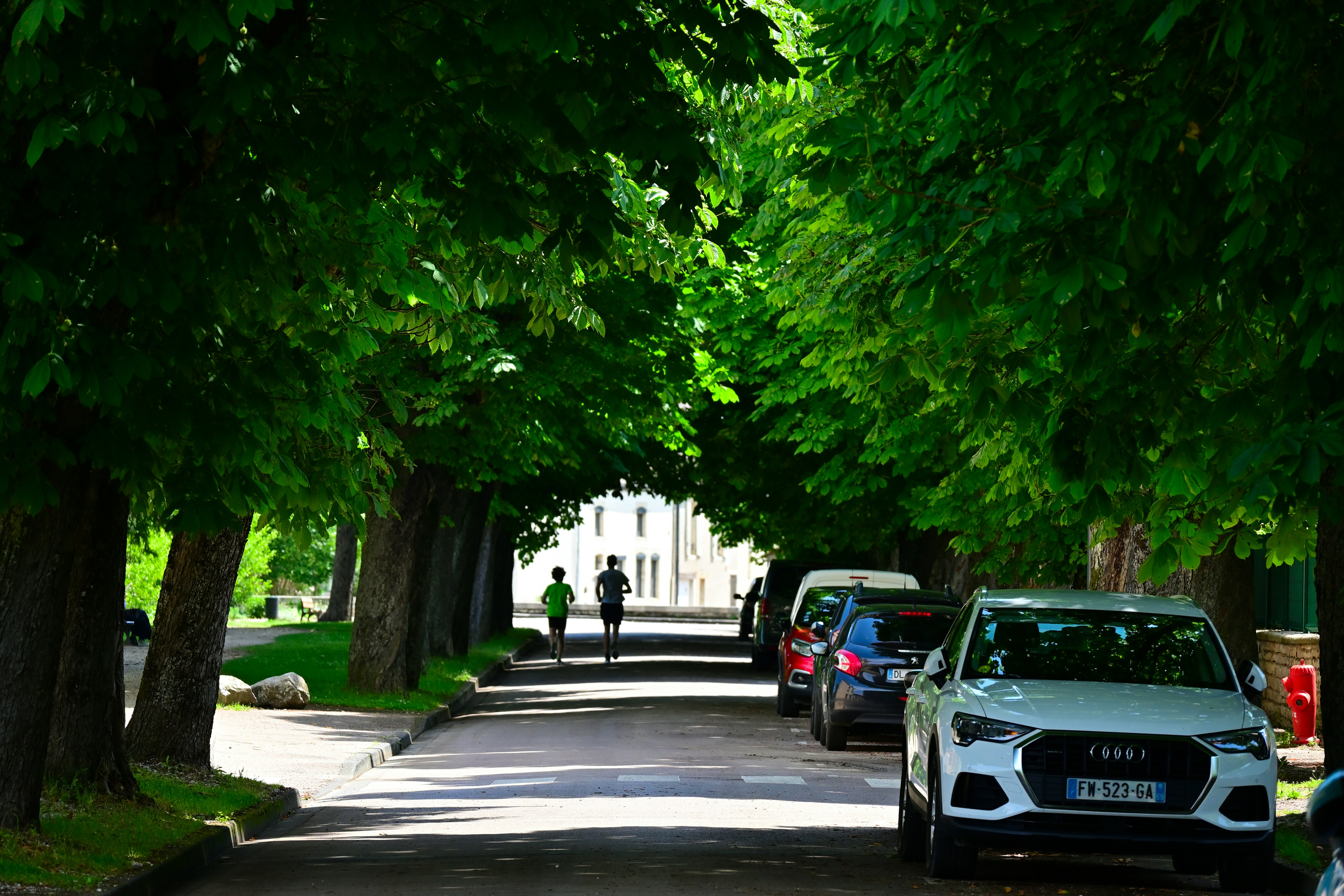 Photo by aminzabardast