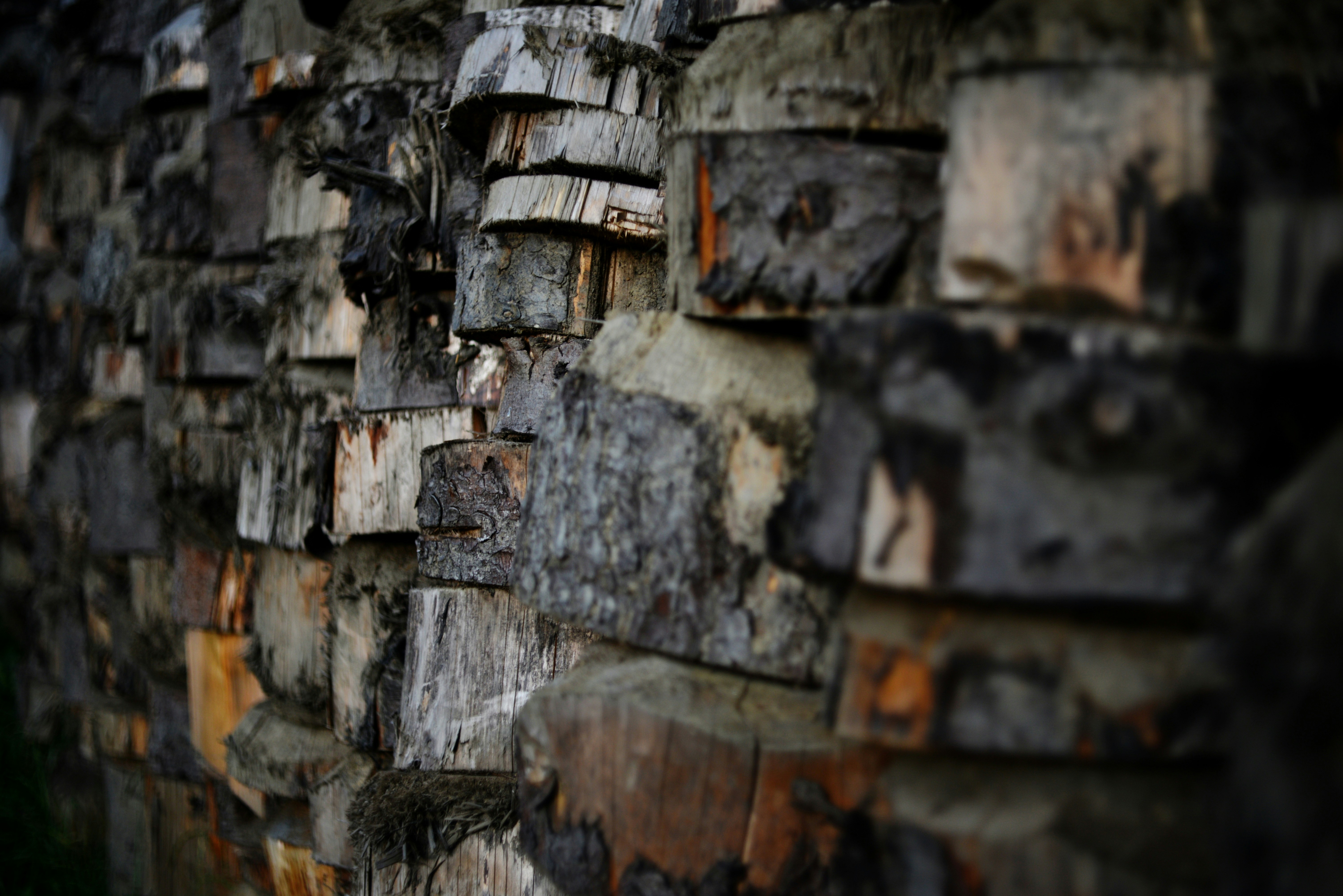 Photo by cherstve_pechivo