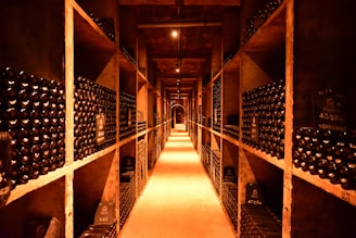 A long narrow room filled with lots of bottles
