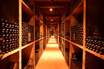A long narrow room filled with lots of bottles