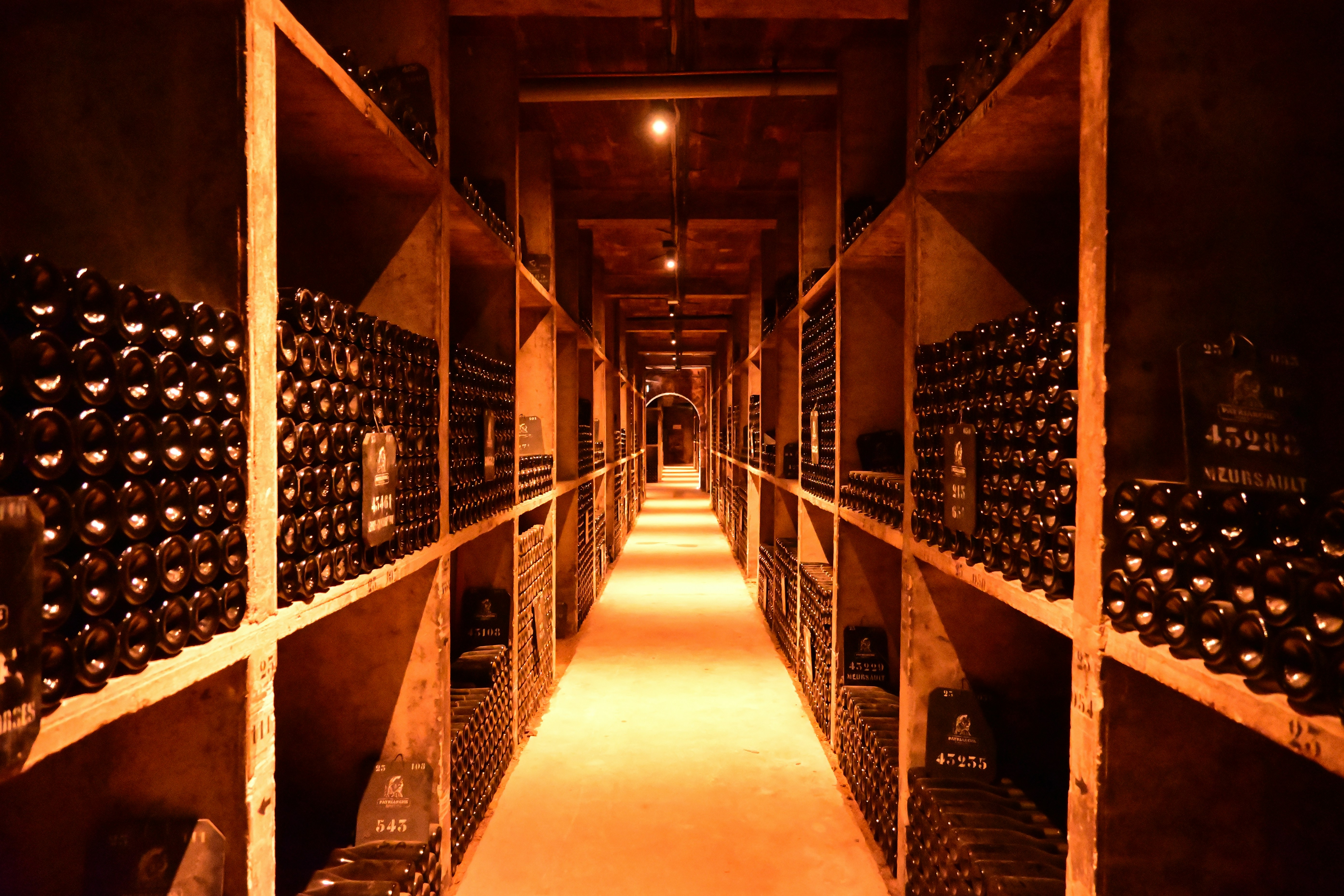 The Advisor in the Cellar: Navigating the Unspoken Protocols of Guiding America's Most Exacting Wine Collectors