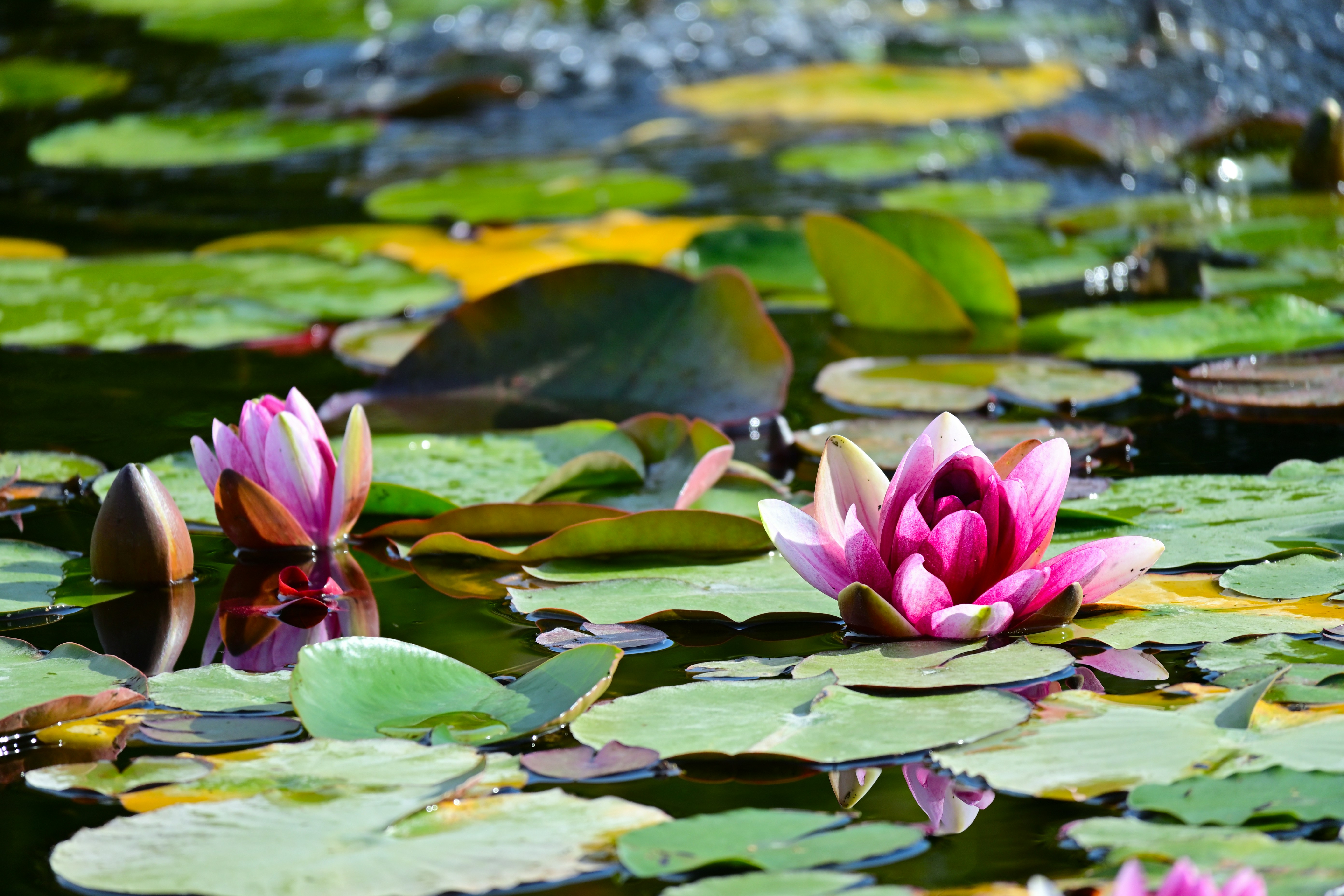 Photo by aminzabardast