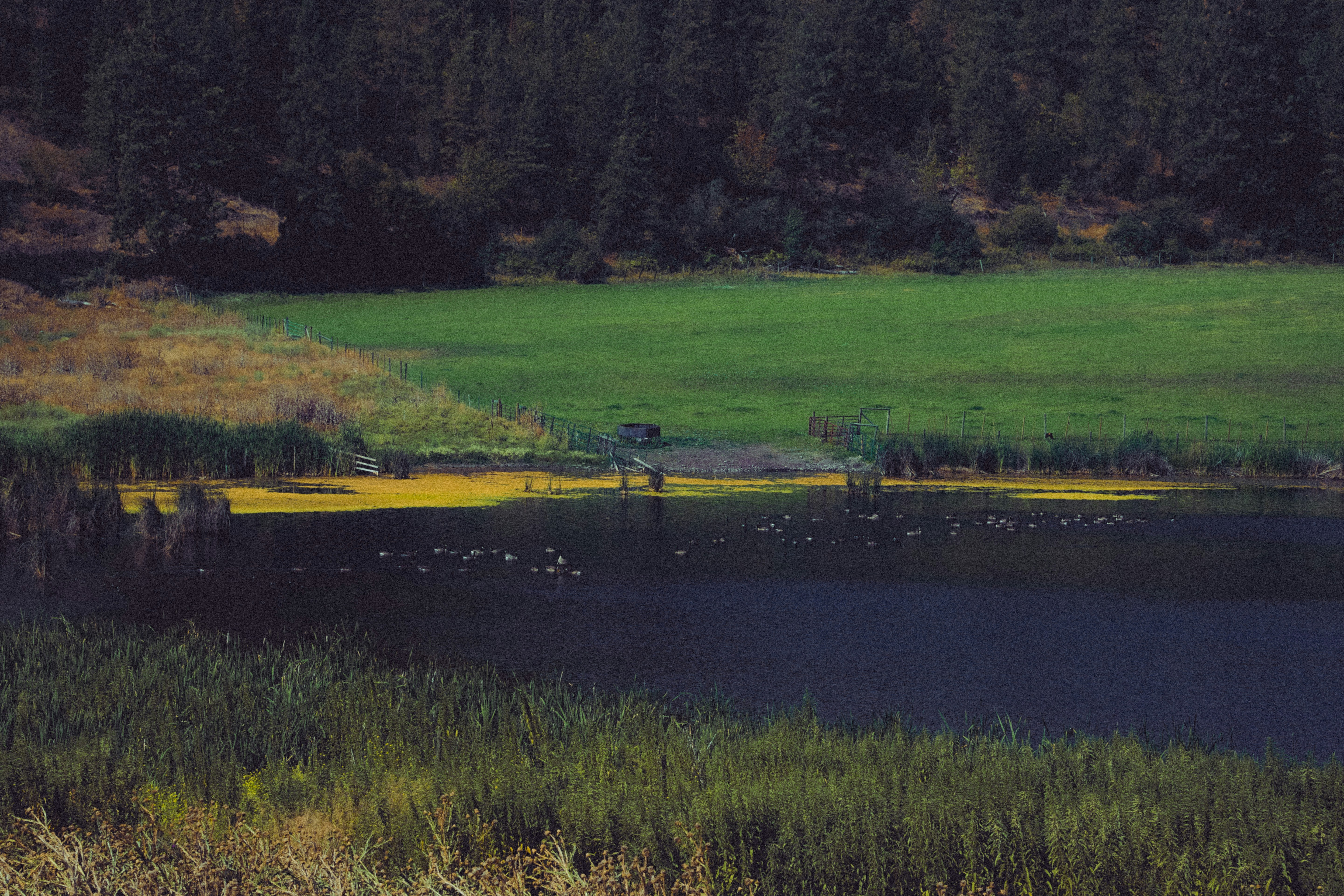 Green Lake State Game Management Area