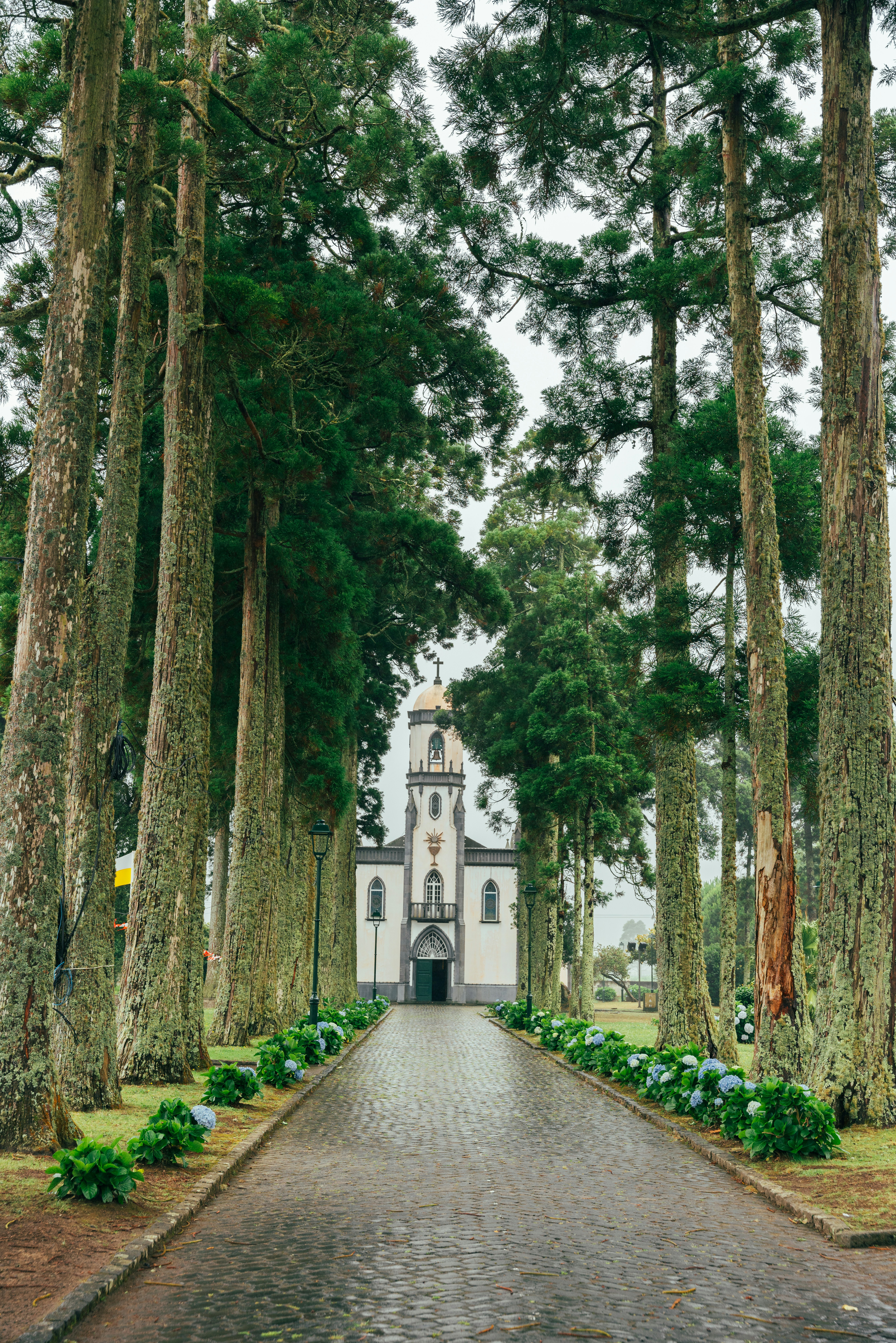 Photo by nellie_adamyan