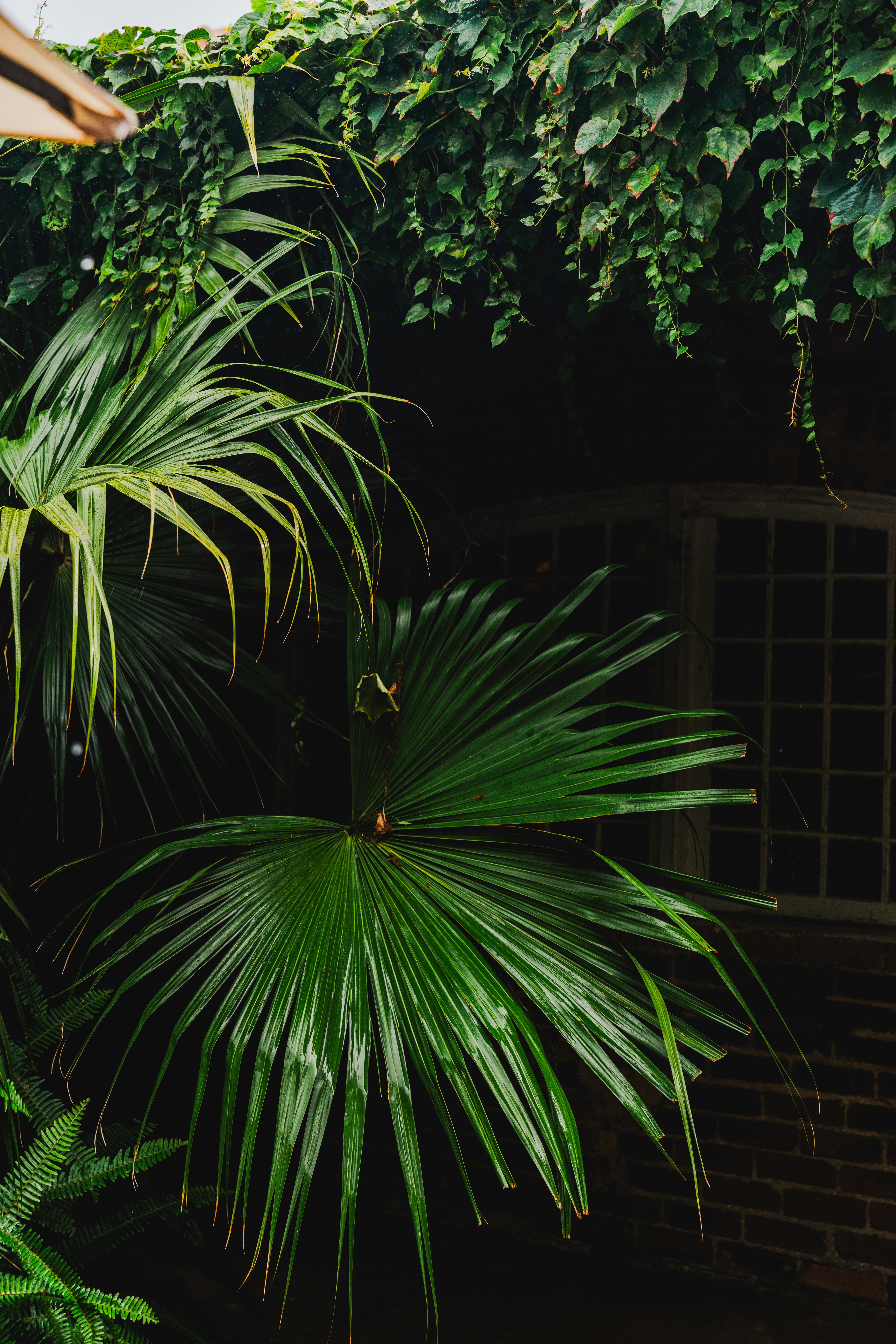 Photo by nellie_adamyan