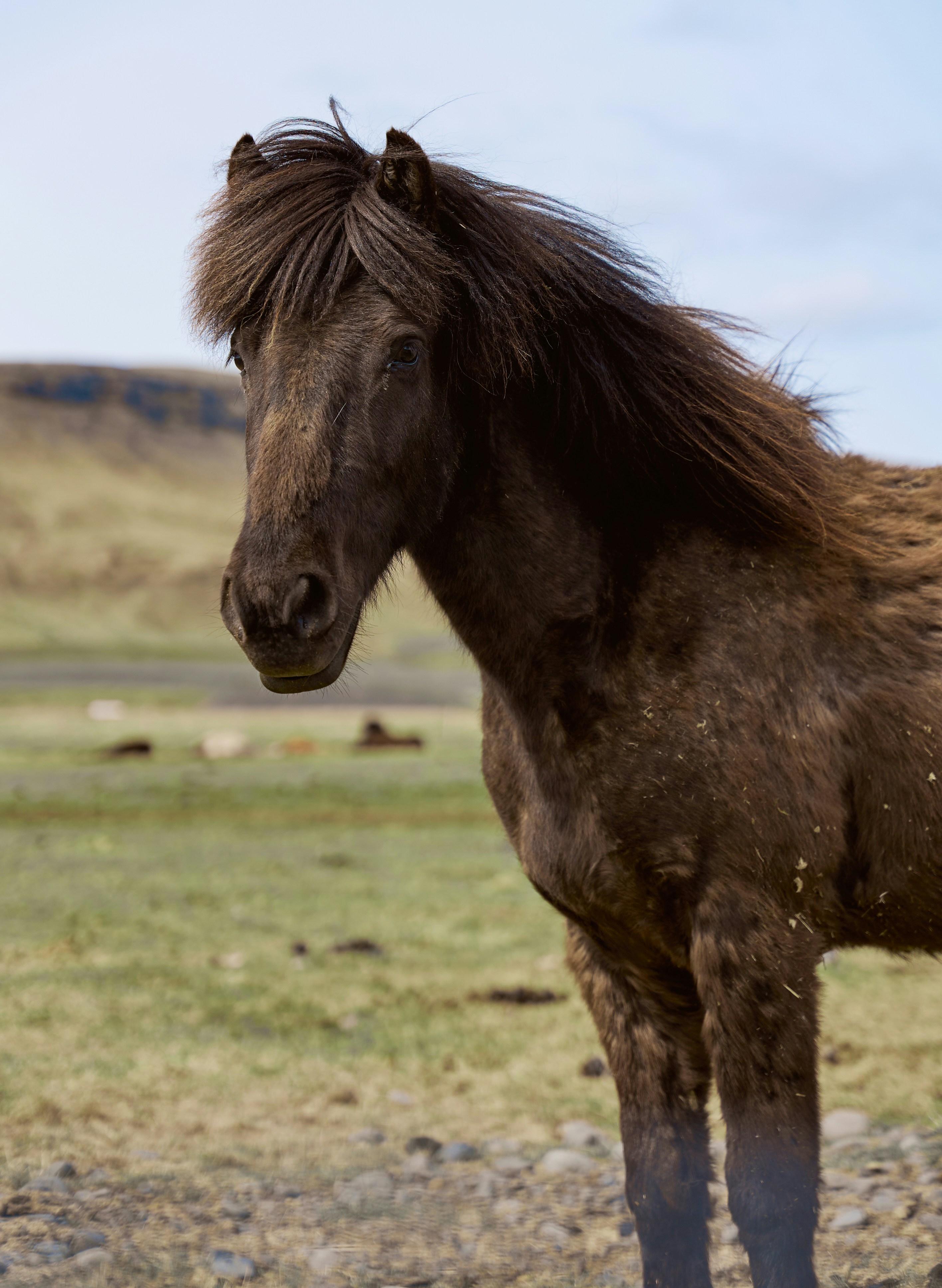 Photo by norajanelong