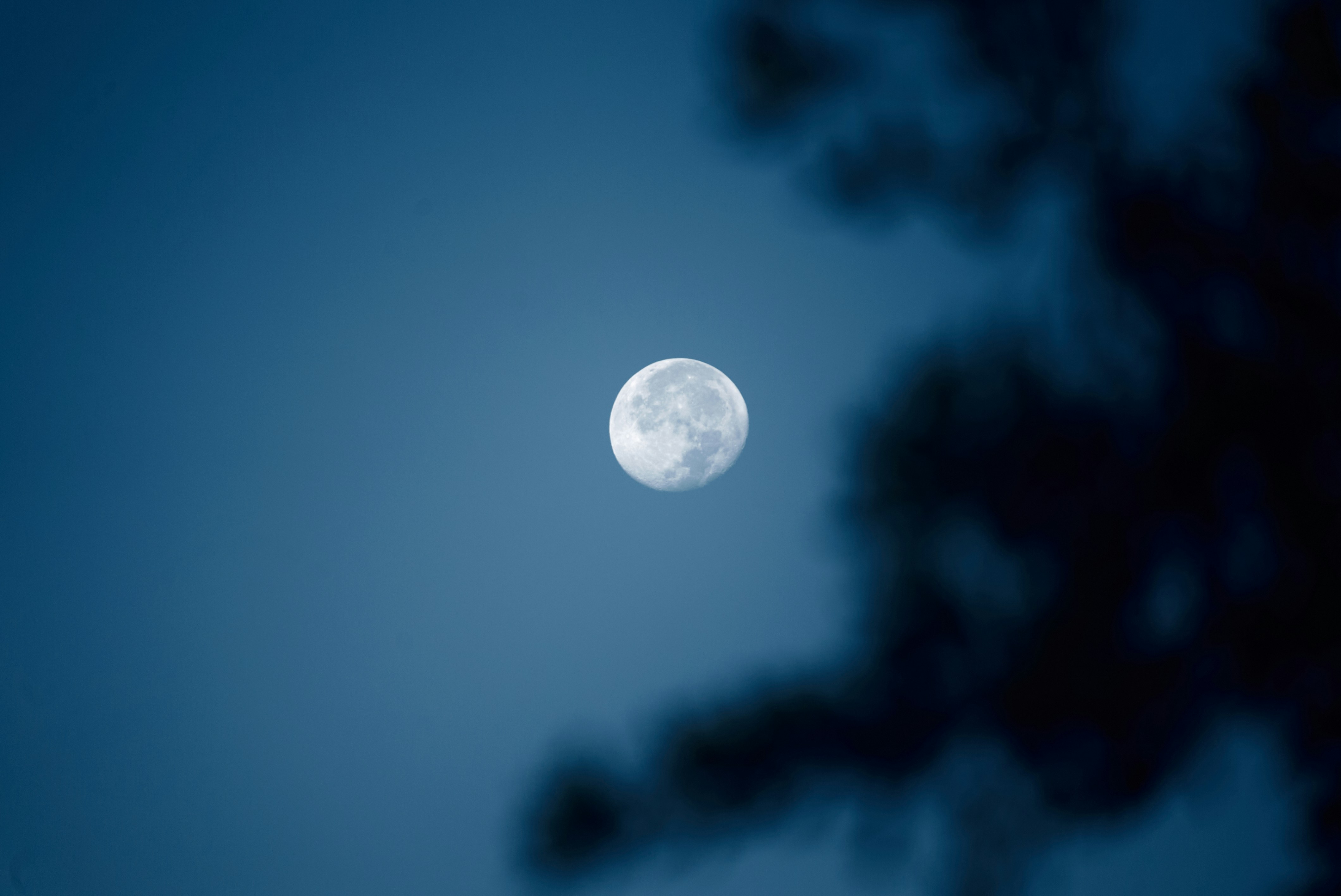 Photo by norajanelong