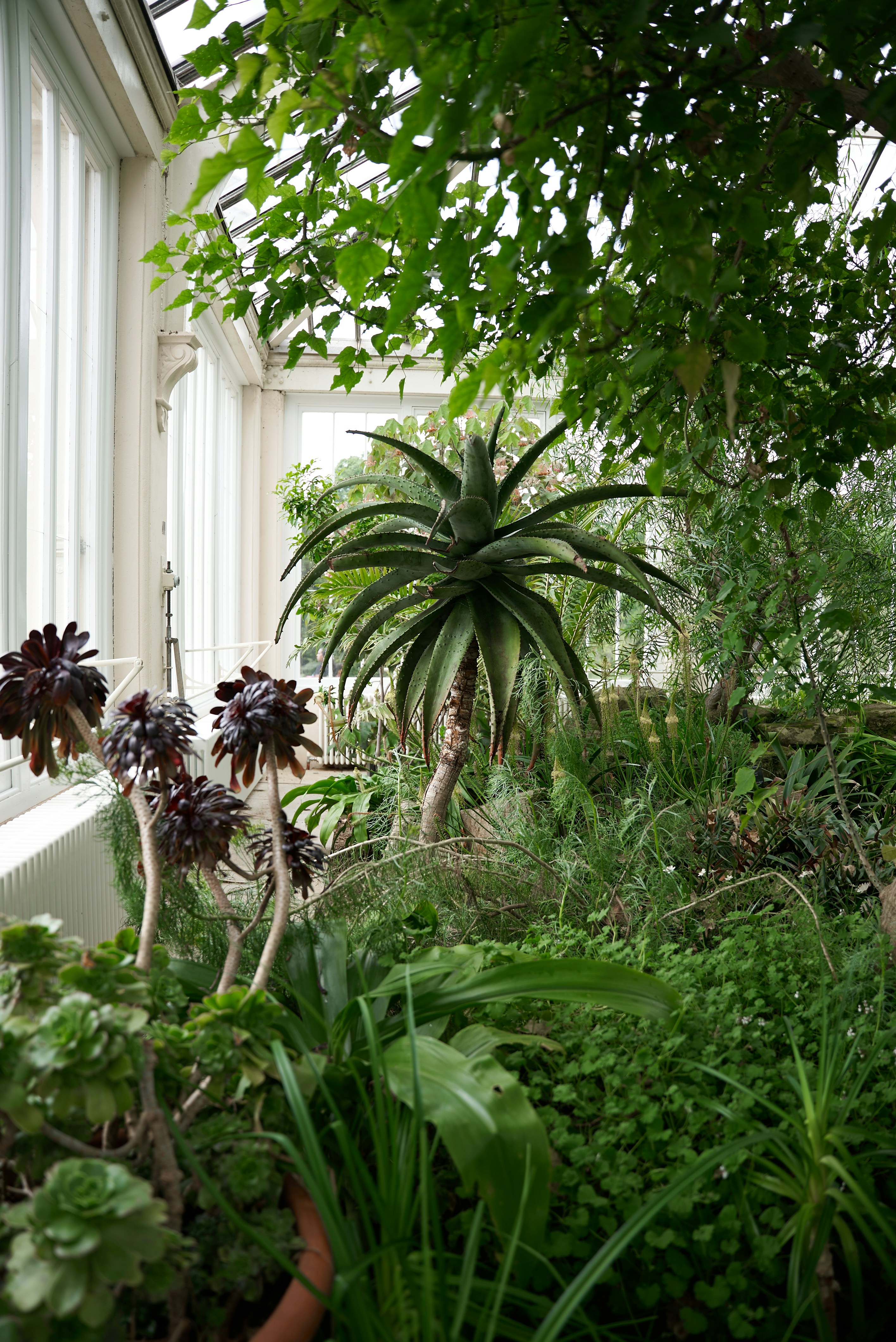 Photo by norajanelong