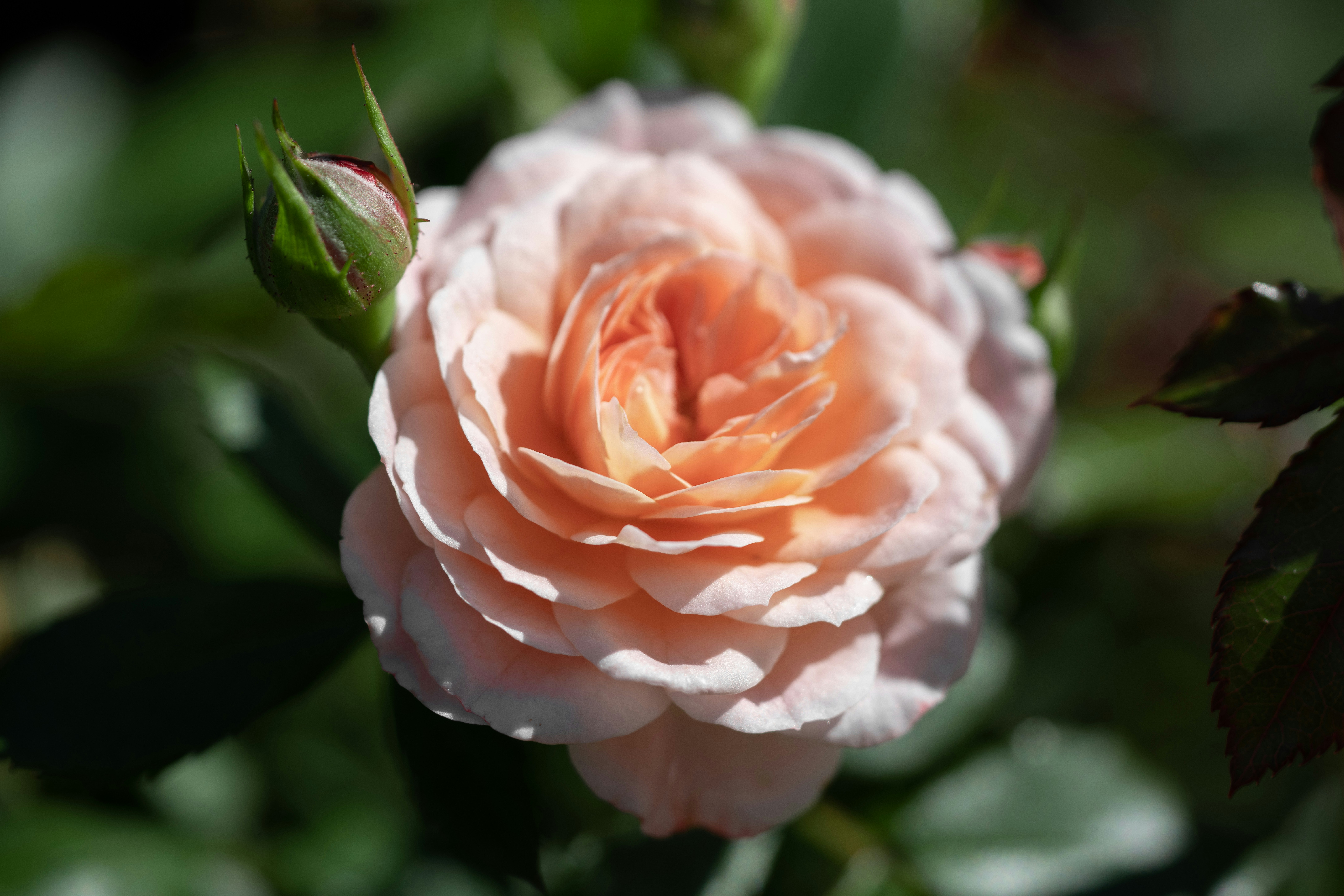 Photo by norajanelong