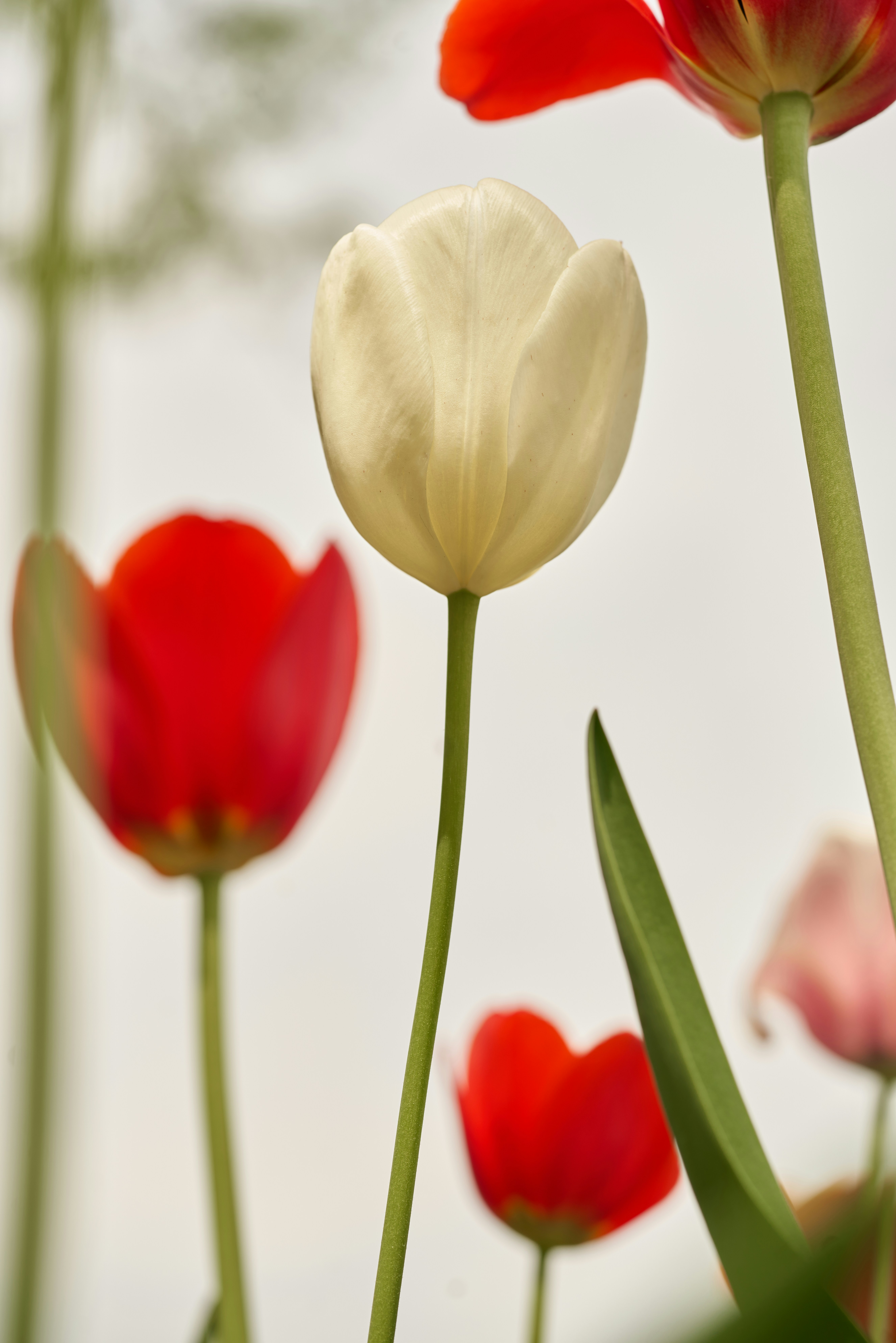 Photo by norajanelong