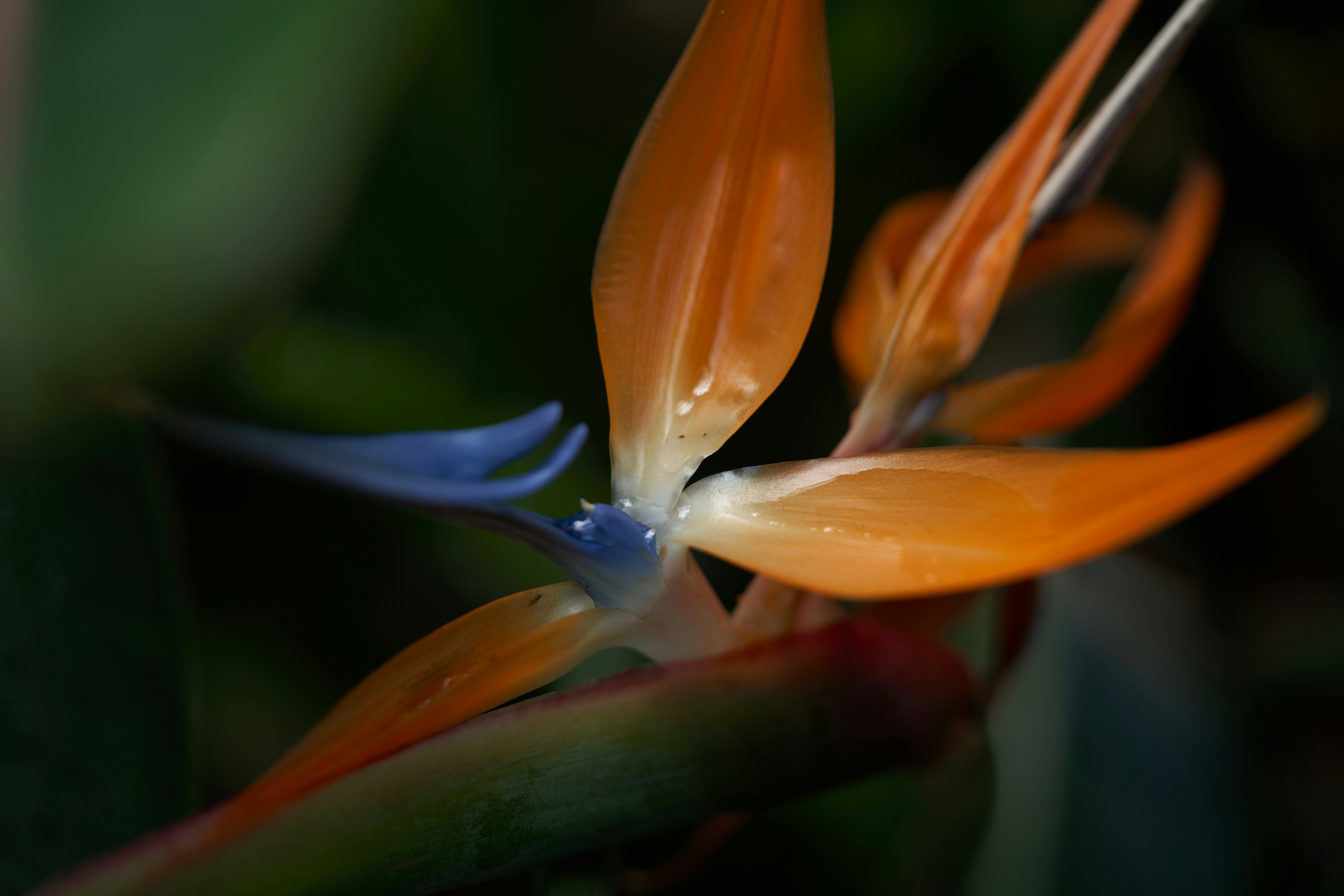 Photo by norajanelong