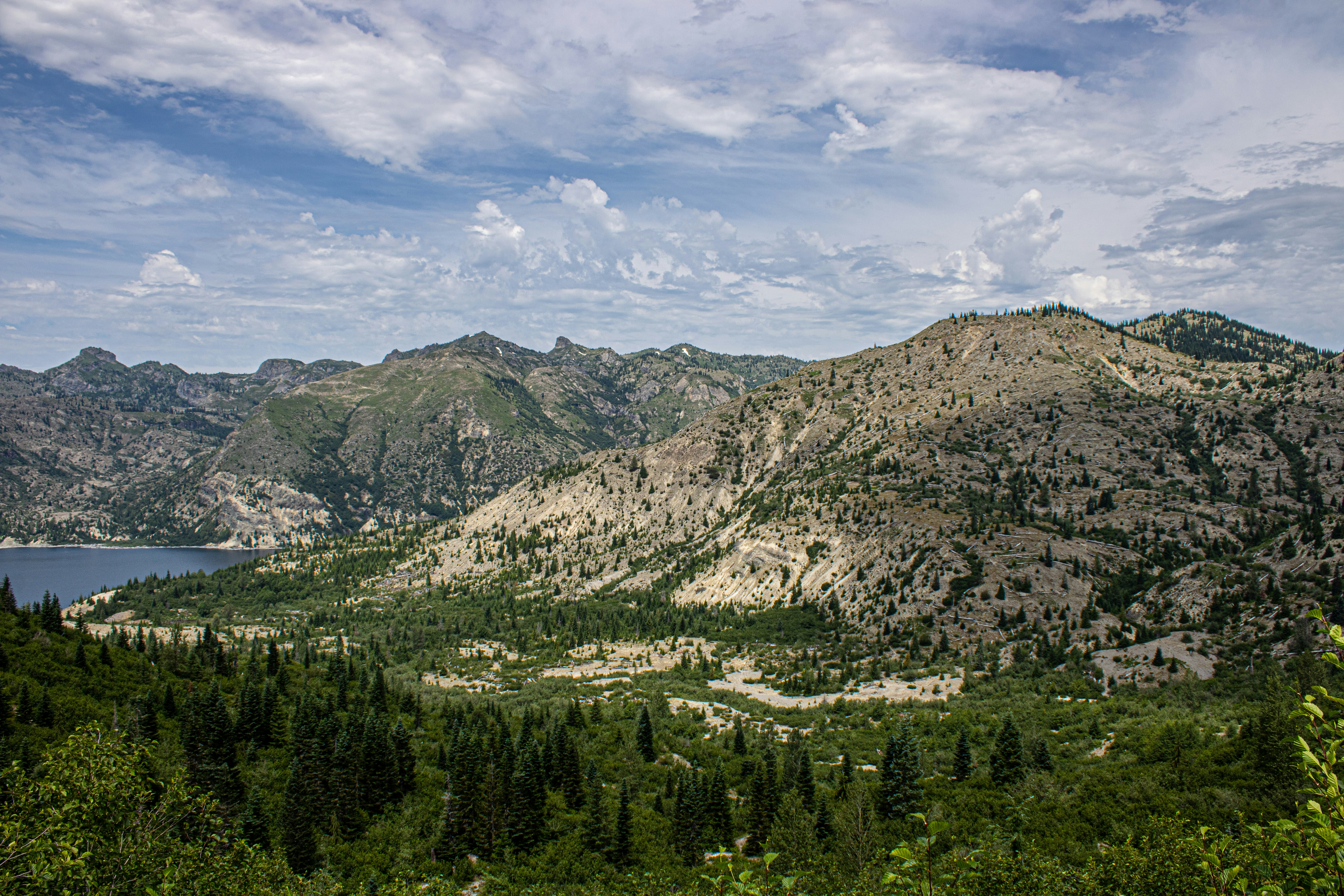 Photo by prphotography262