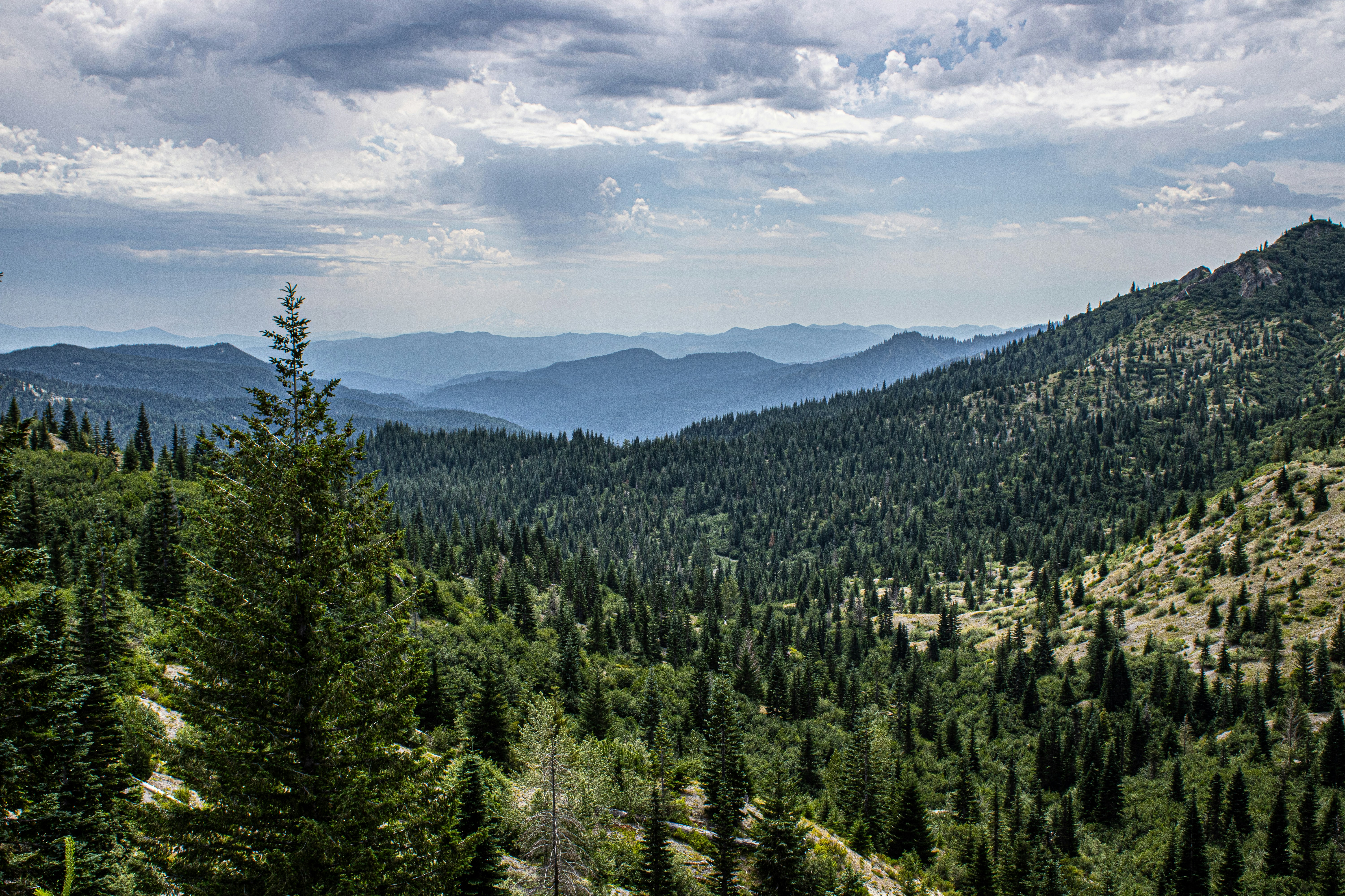 Photo by prphotography262