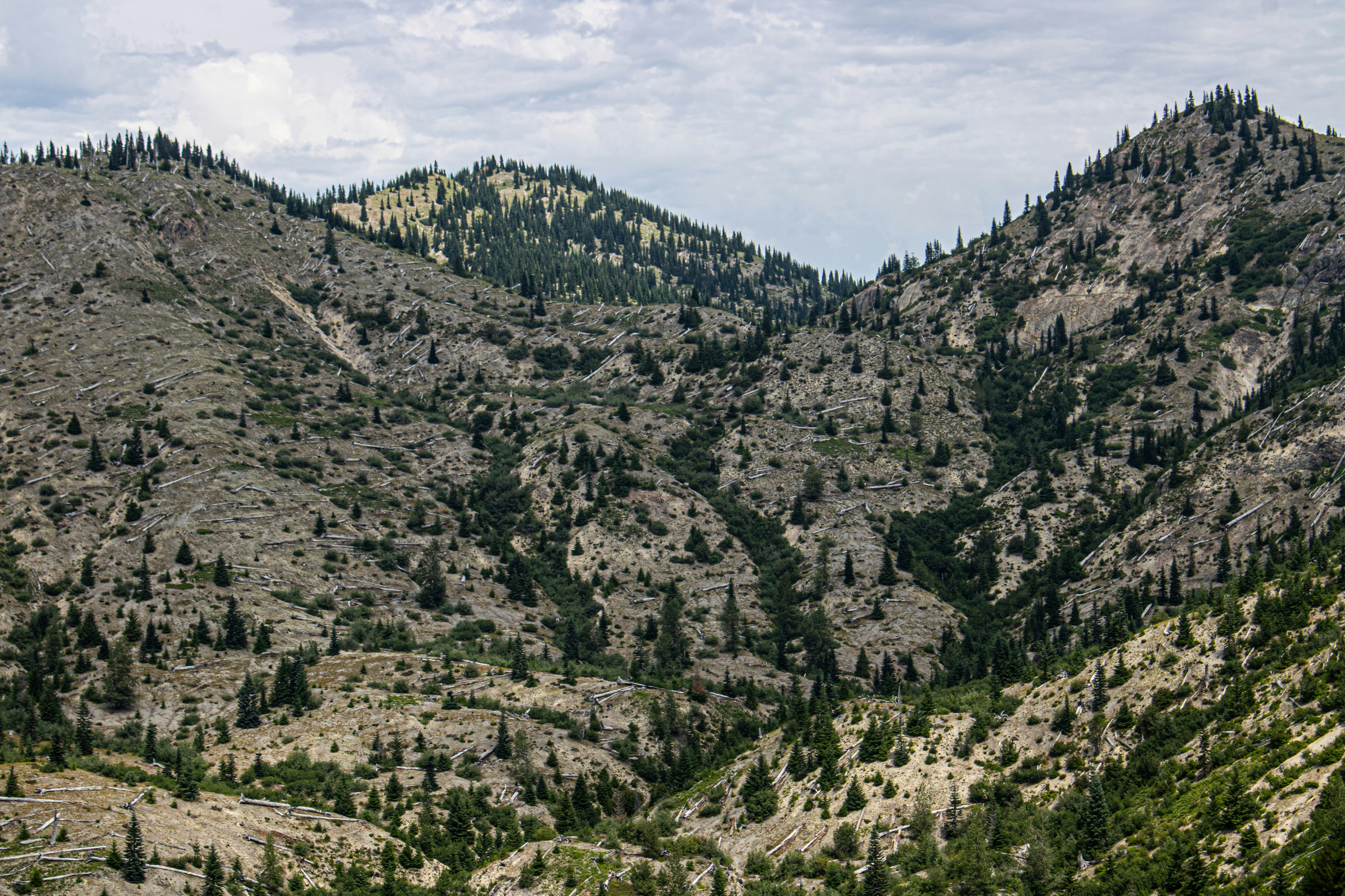 Photo by prphotography262