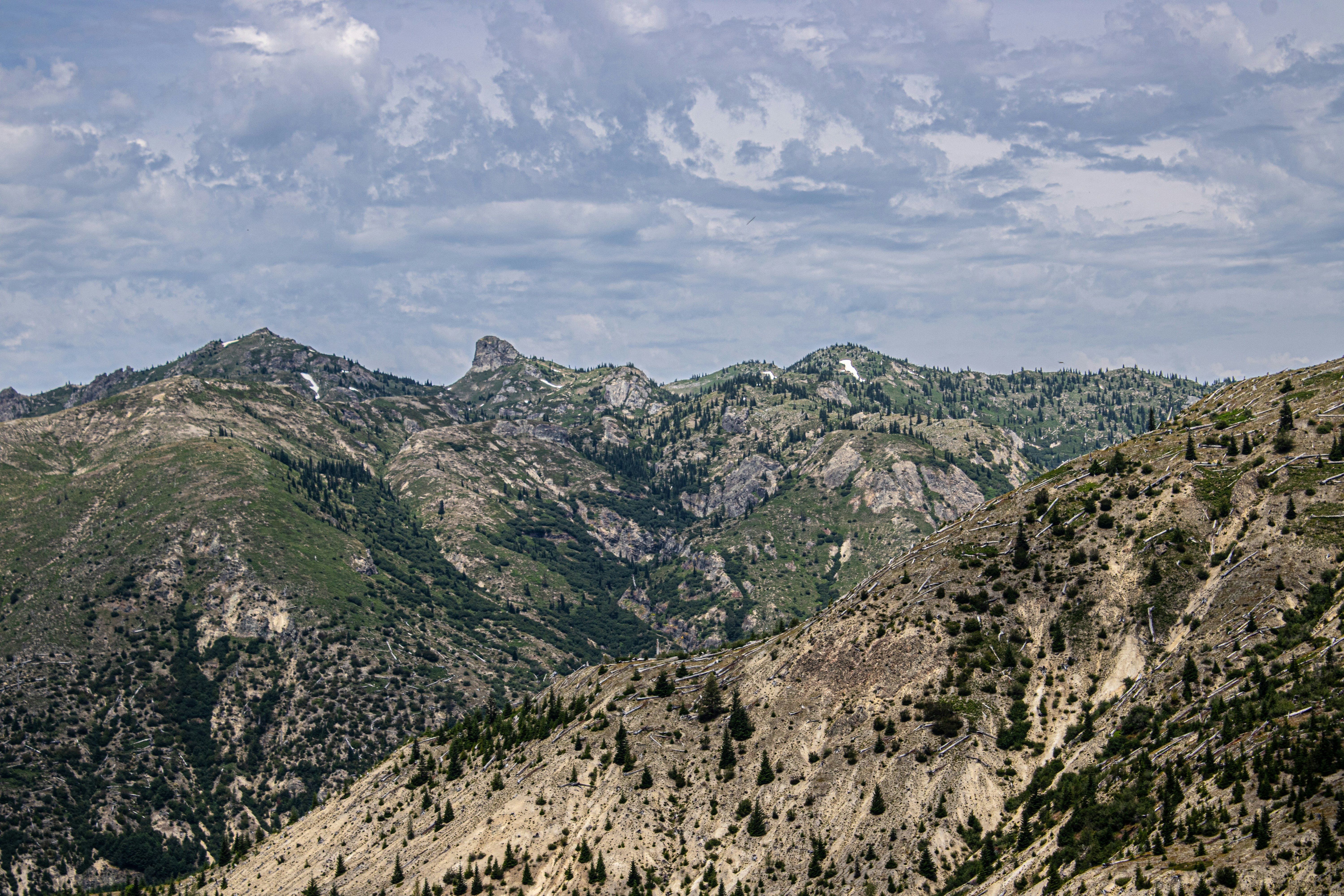 Photo by prphotography262