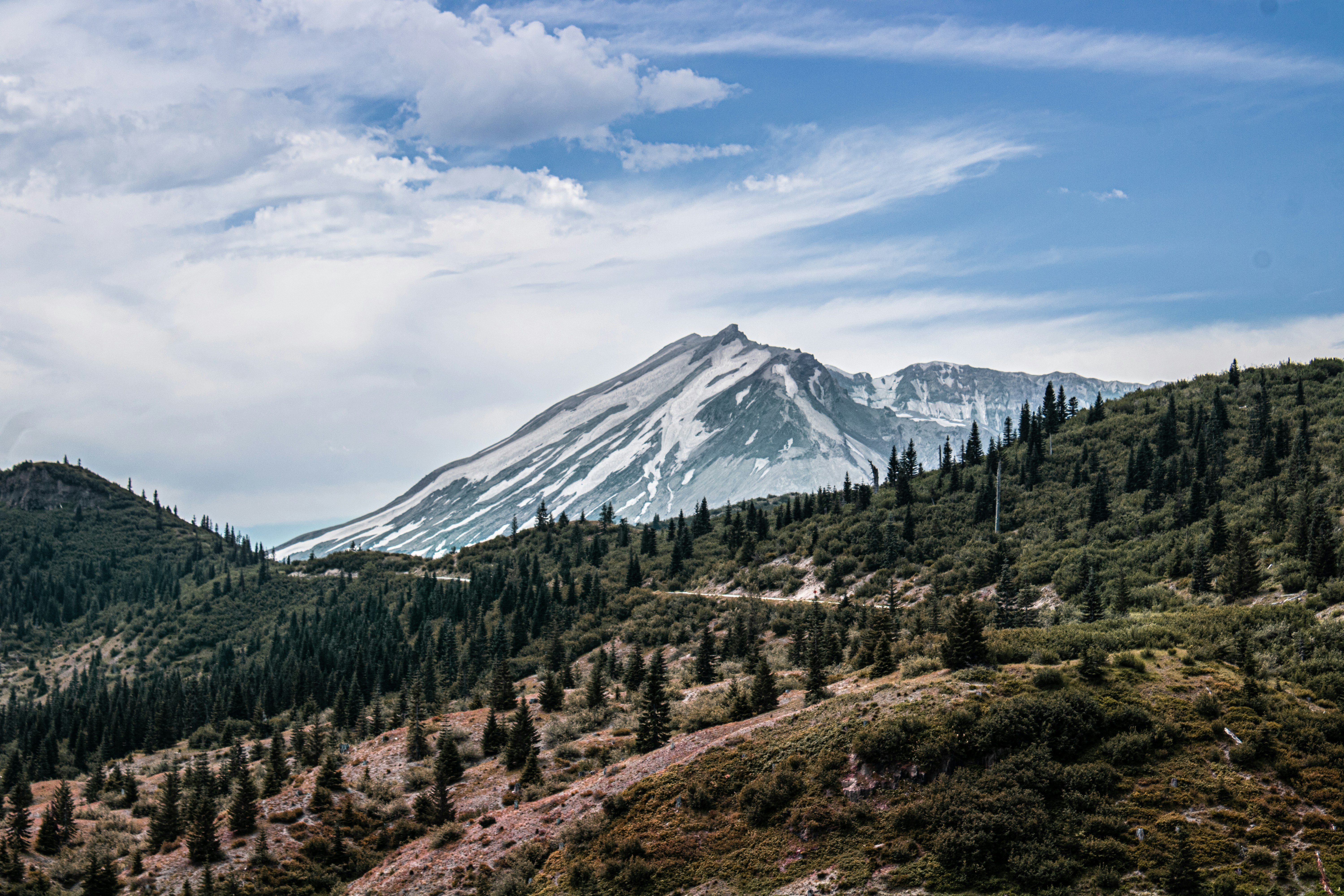 Photo by prphotography262