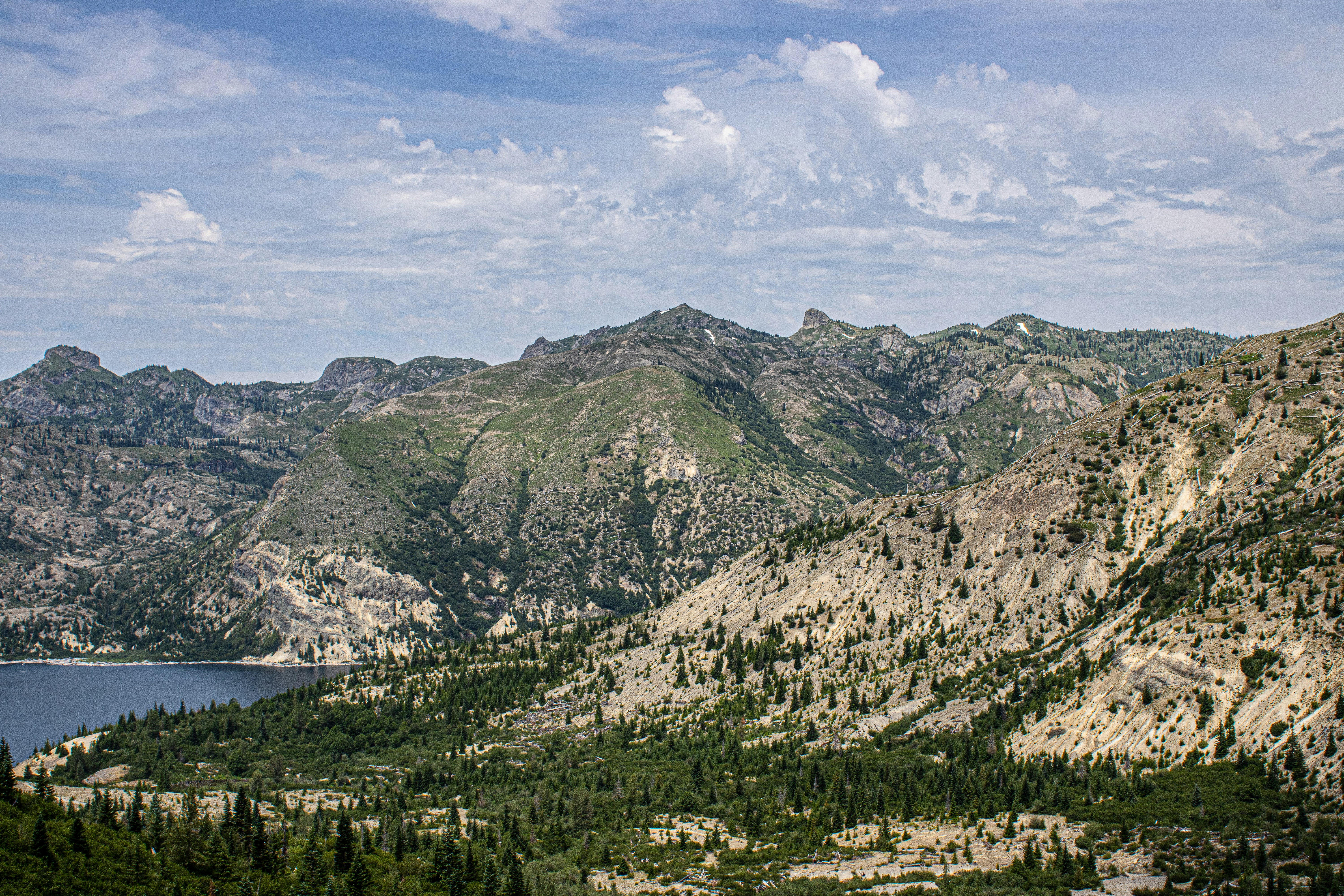 Photo by prphotography262