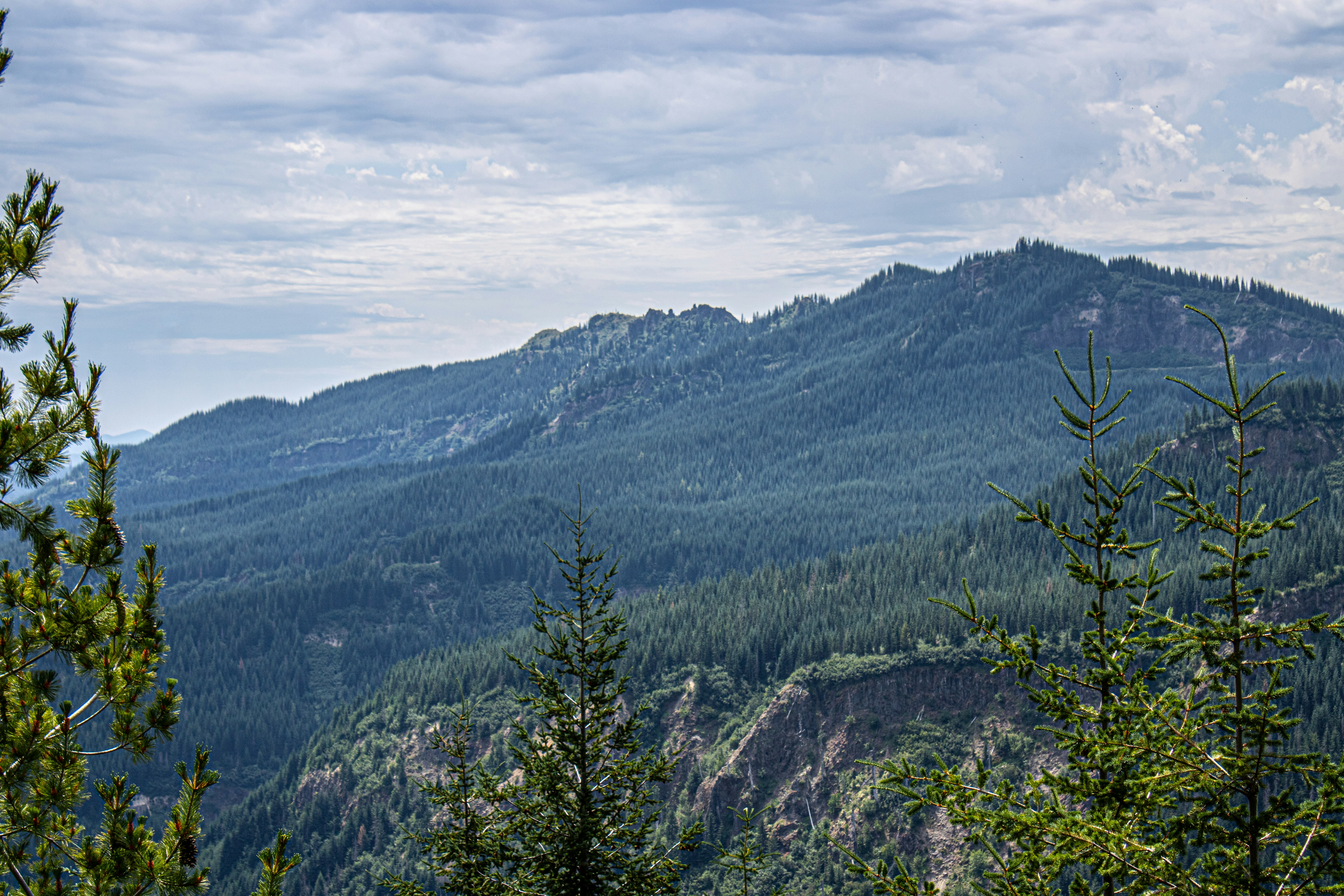 Photo by prphotography262