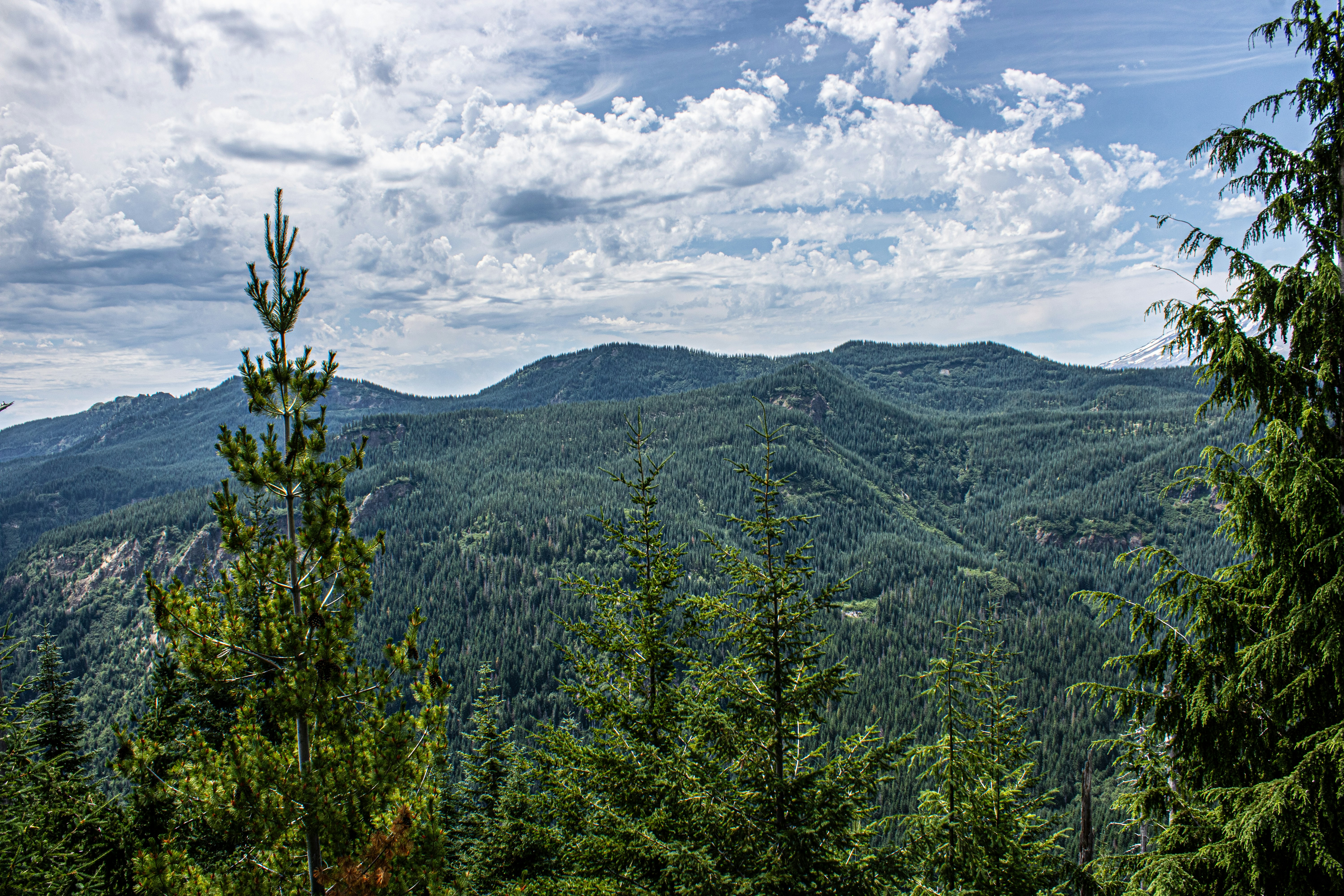 Photo by prphotography262