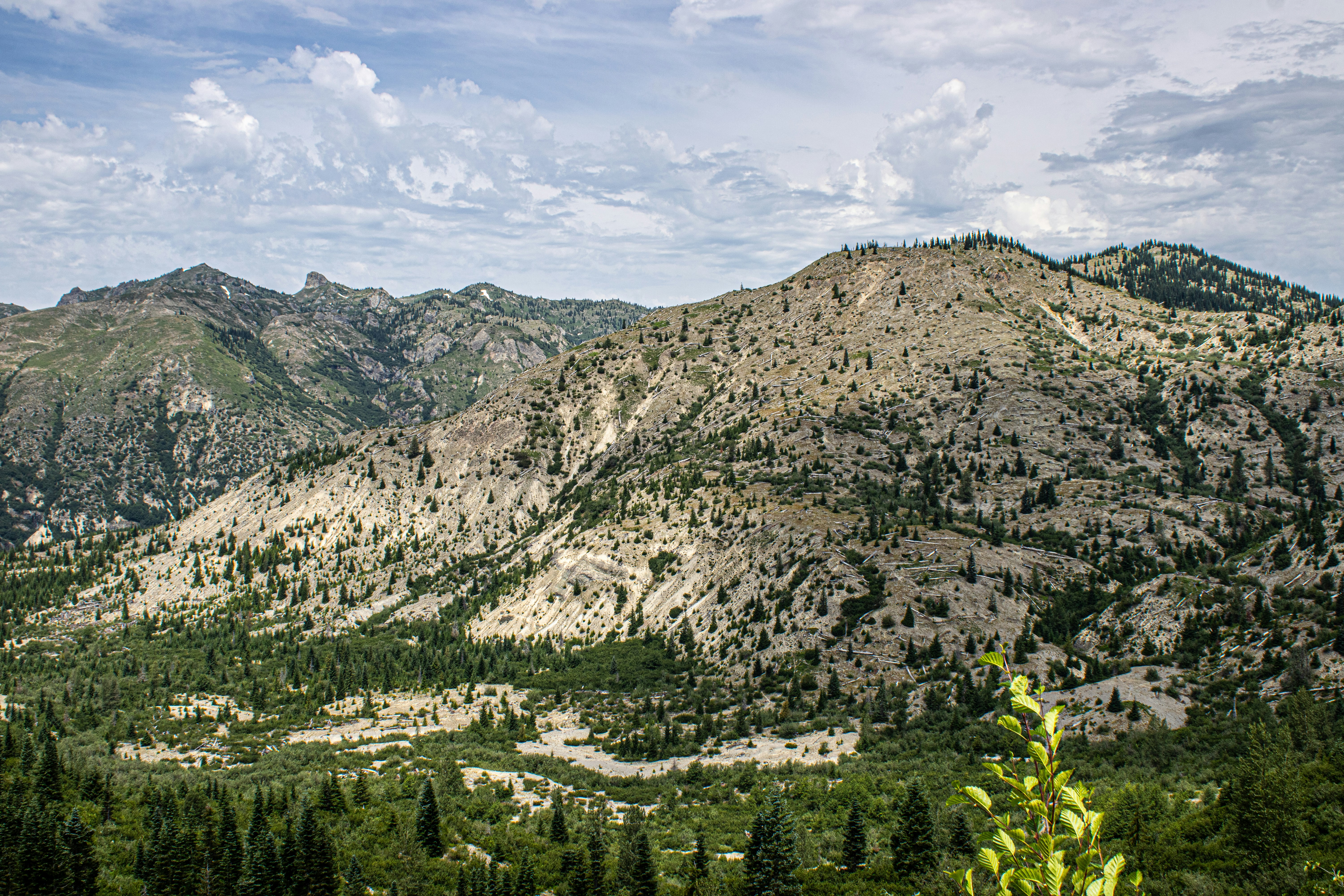 Photo by prphotography262