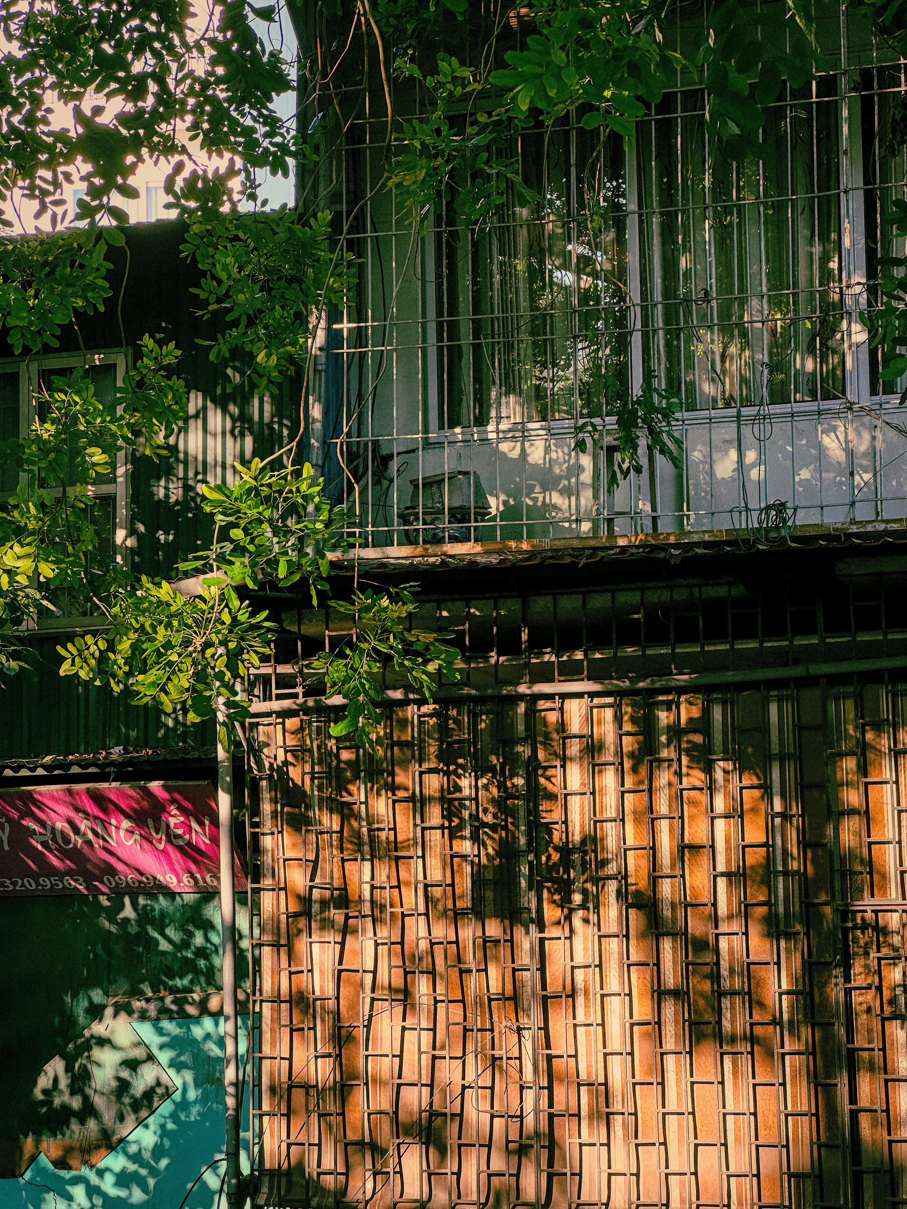 A cat sitting on a ledge in front of a building