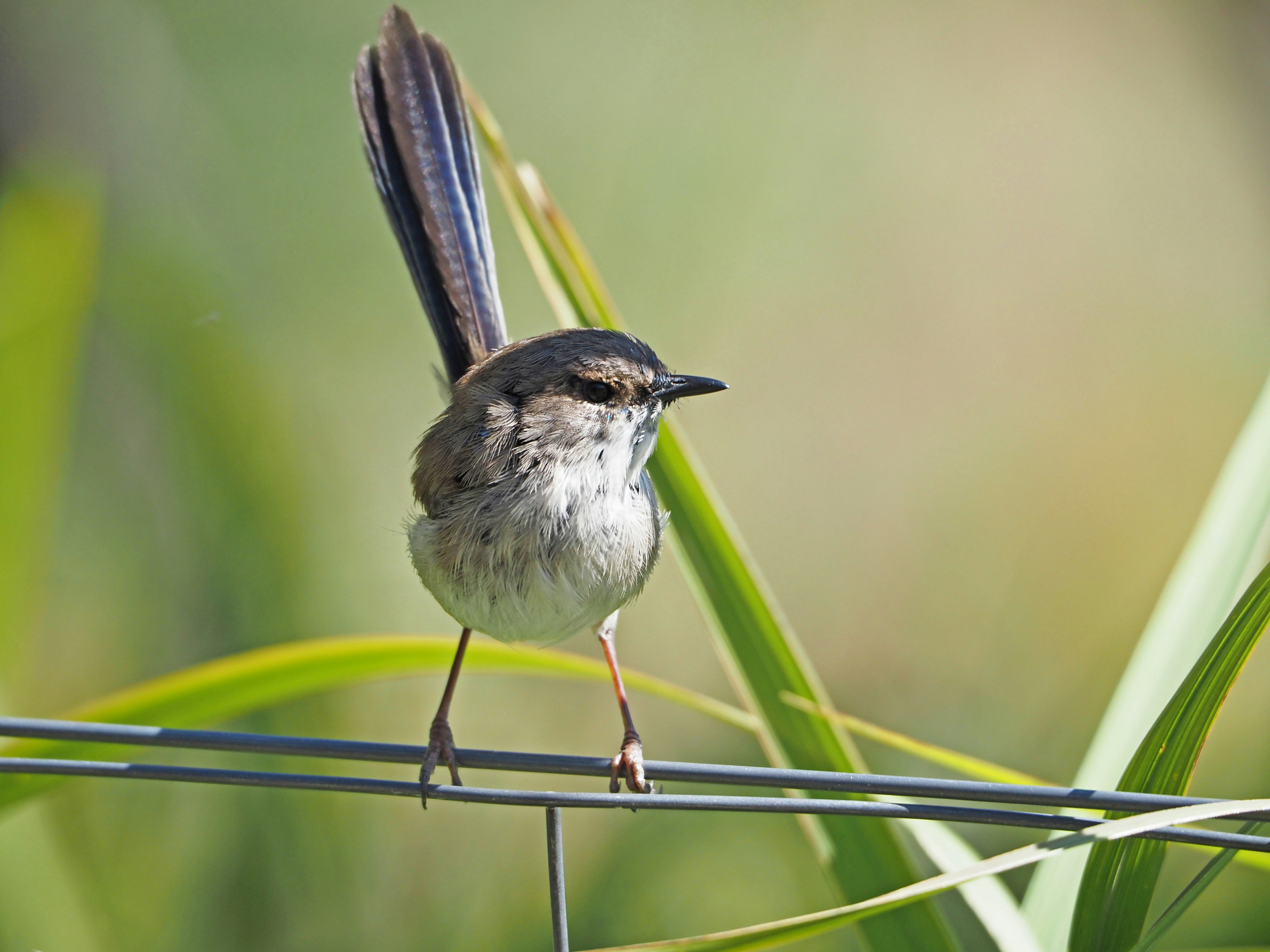 Photo by liefdevoorreizen