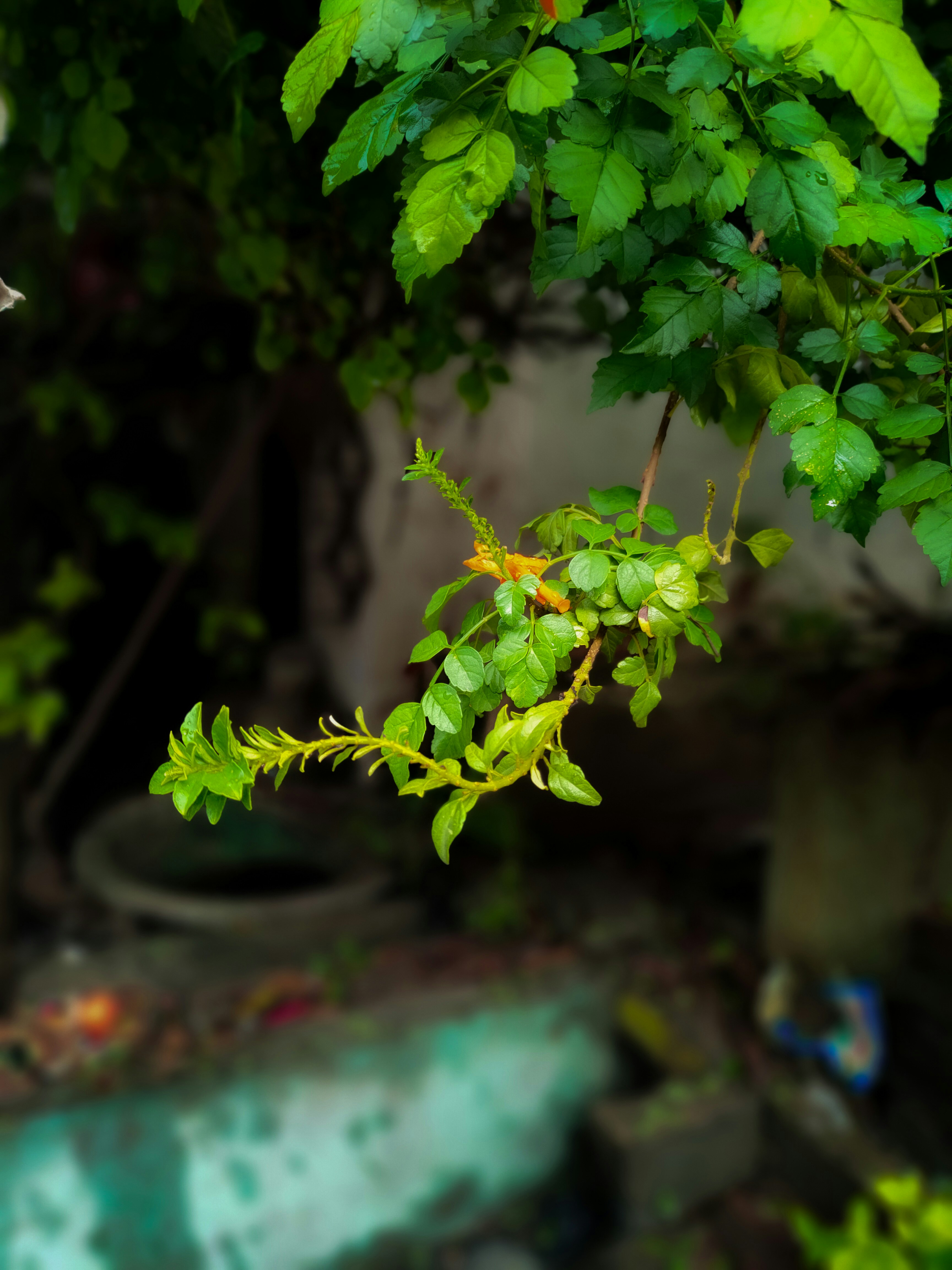 Photo by sujaypaulsp