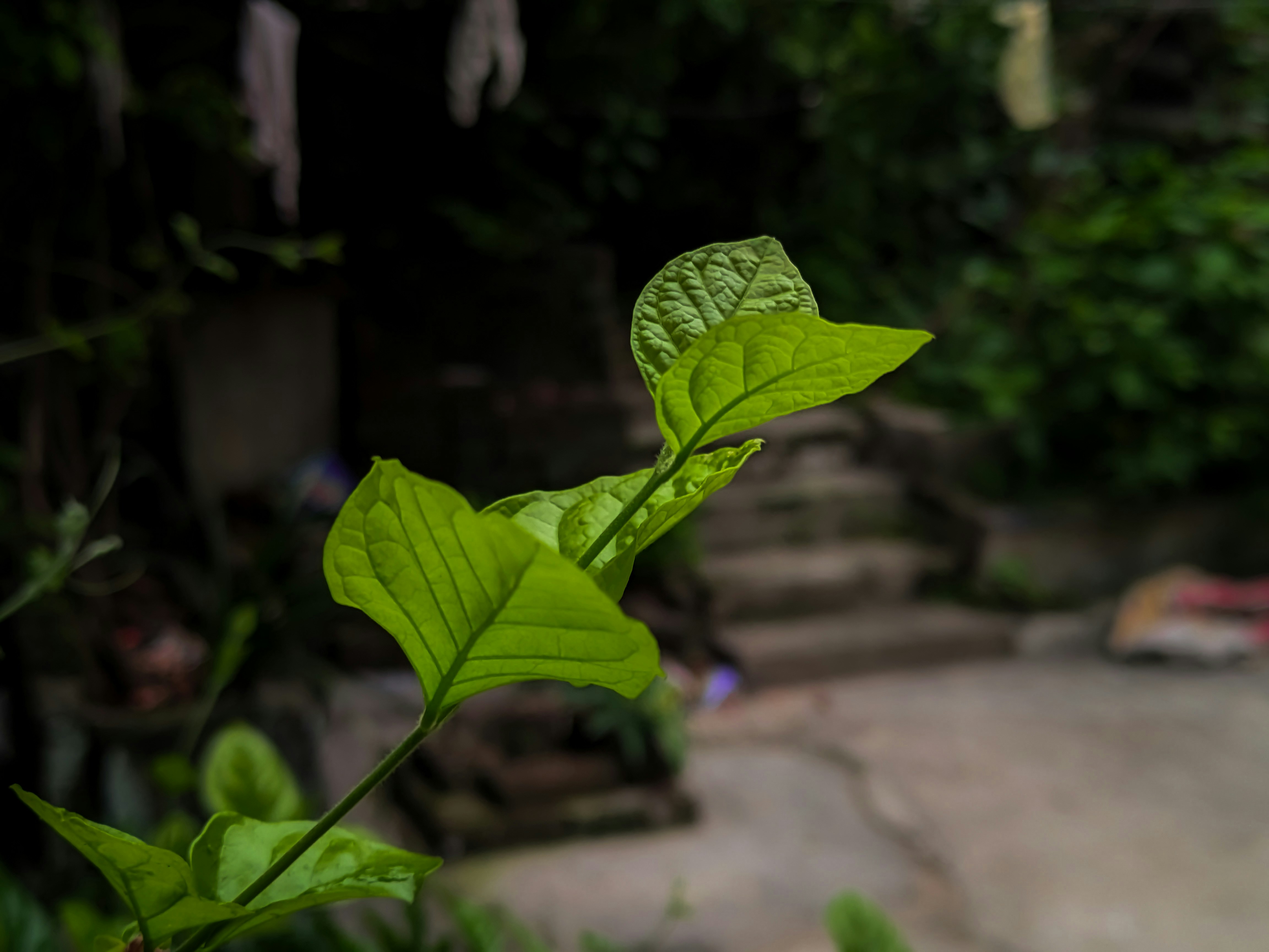 Photo by sujaypaulsp