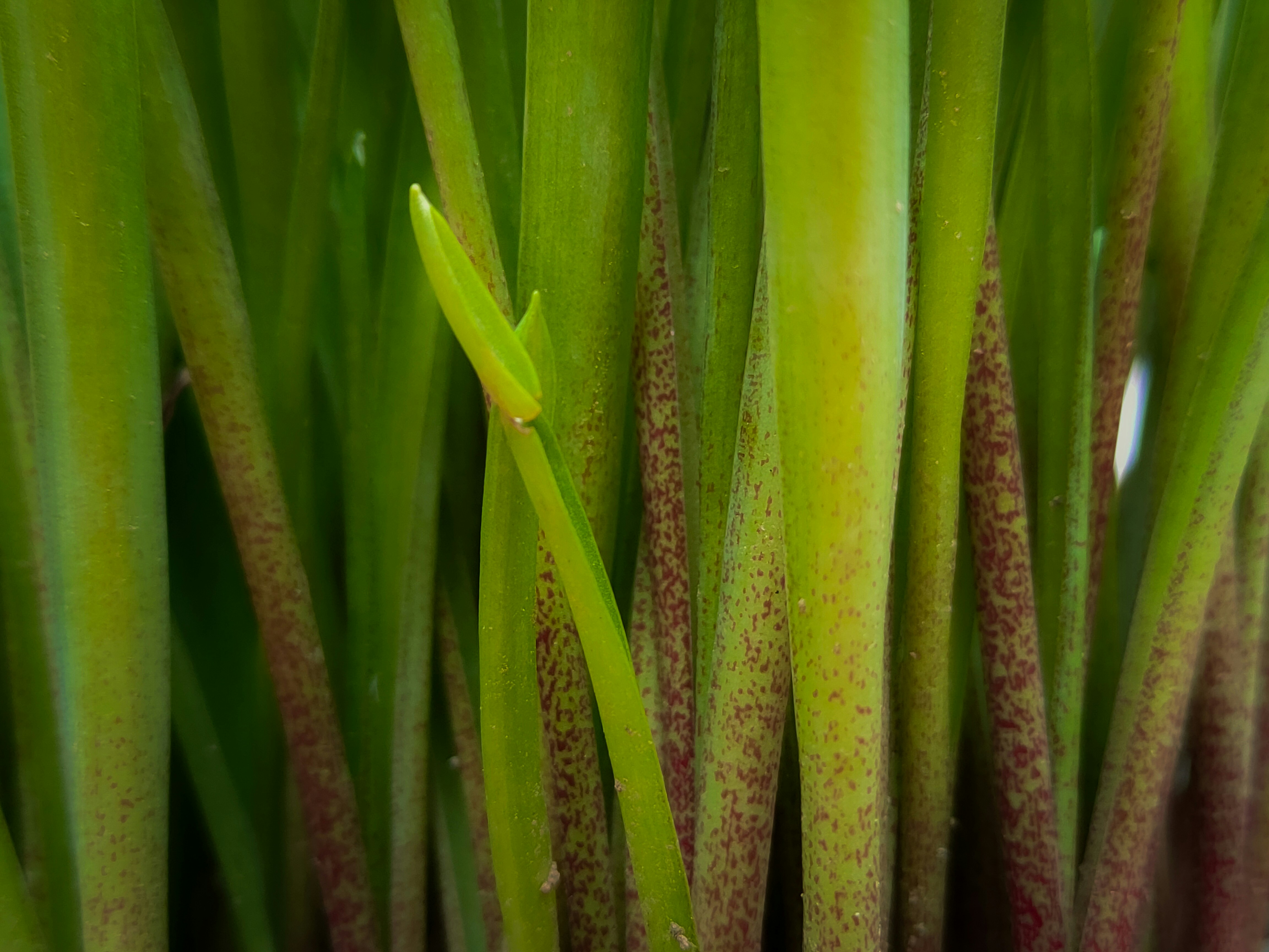 Photo by sujaypaulsp