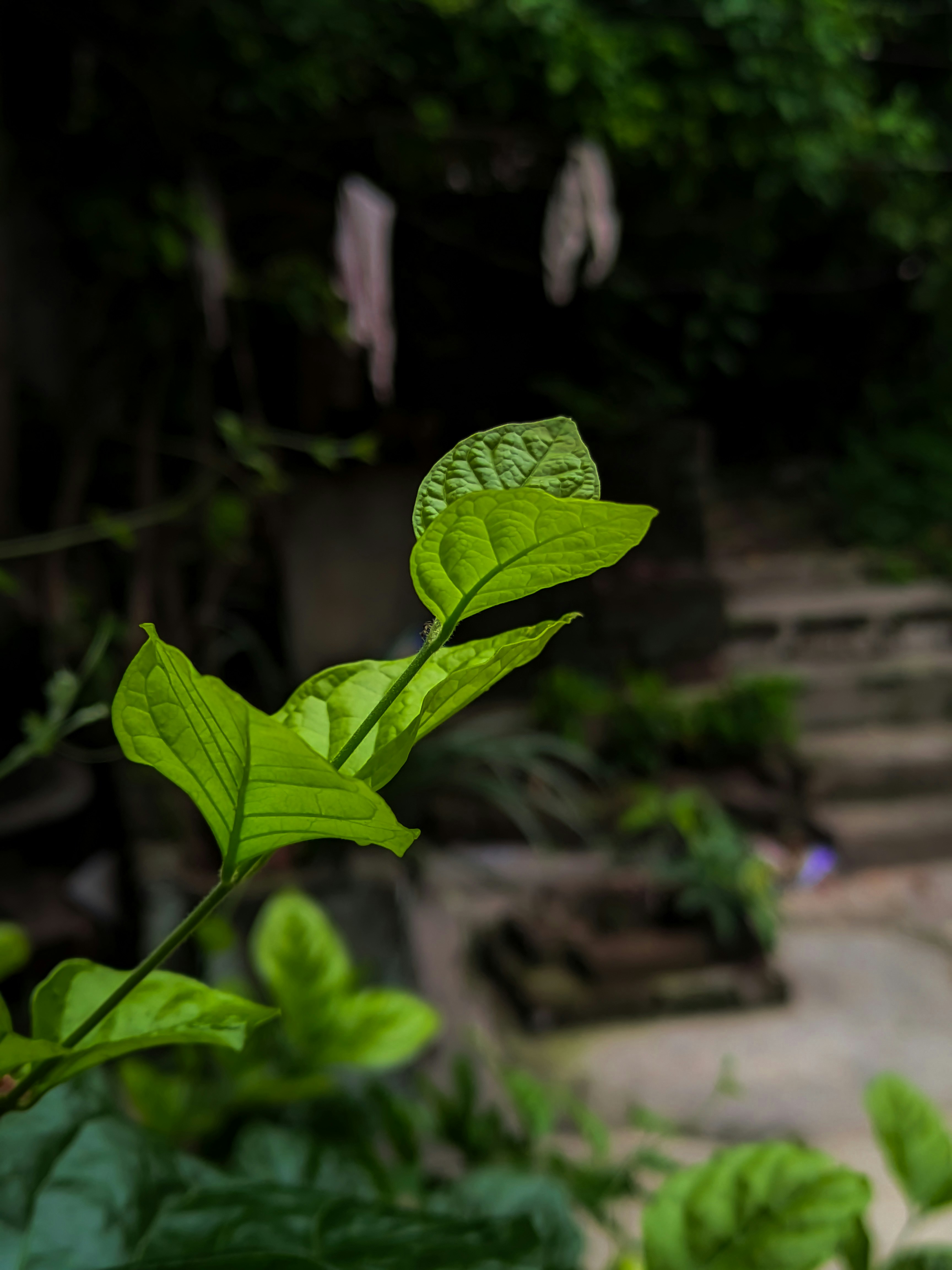 Photo by sujaypaulsp