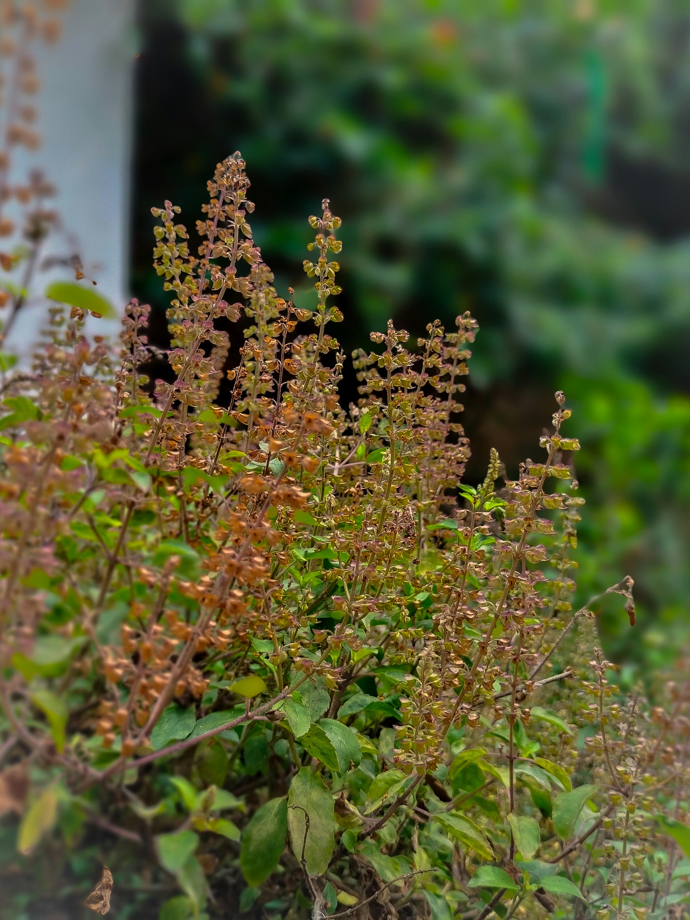 Photo by sujaypaulsp