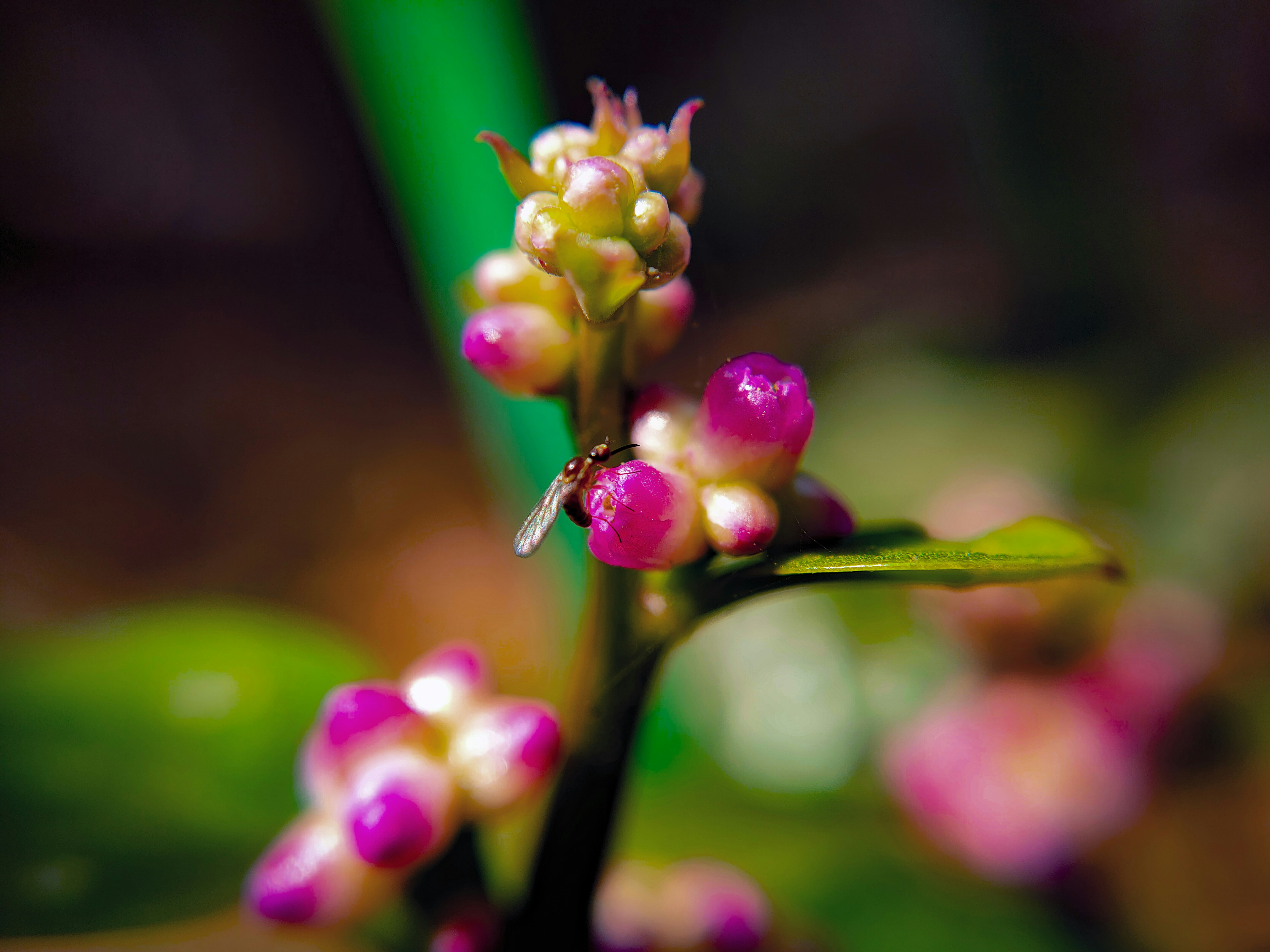 Photo by sujaypaulsp