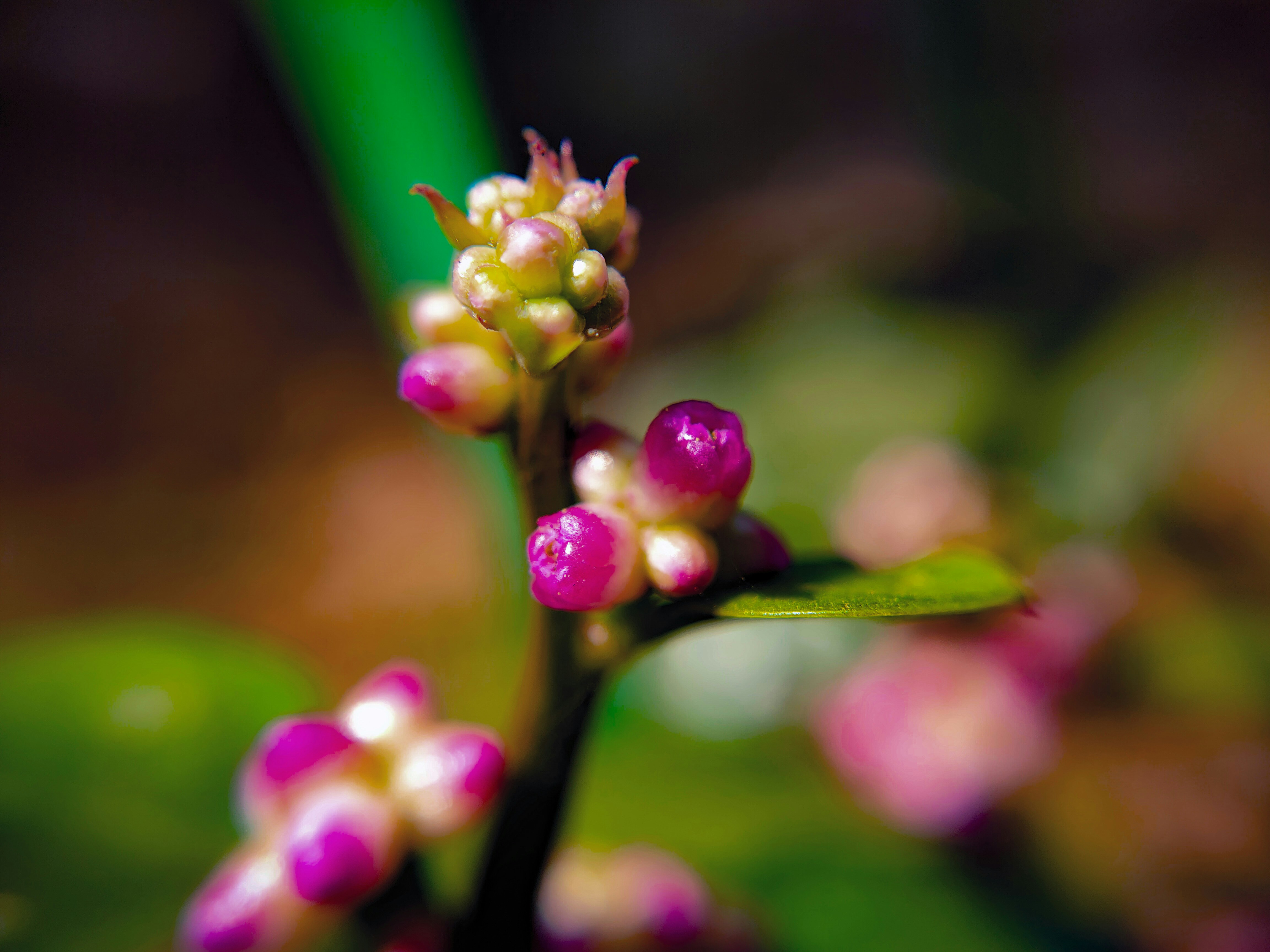 Photo by sujaypaulsp