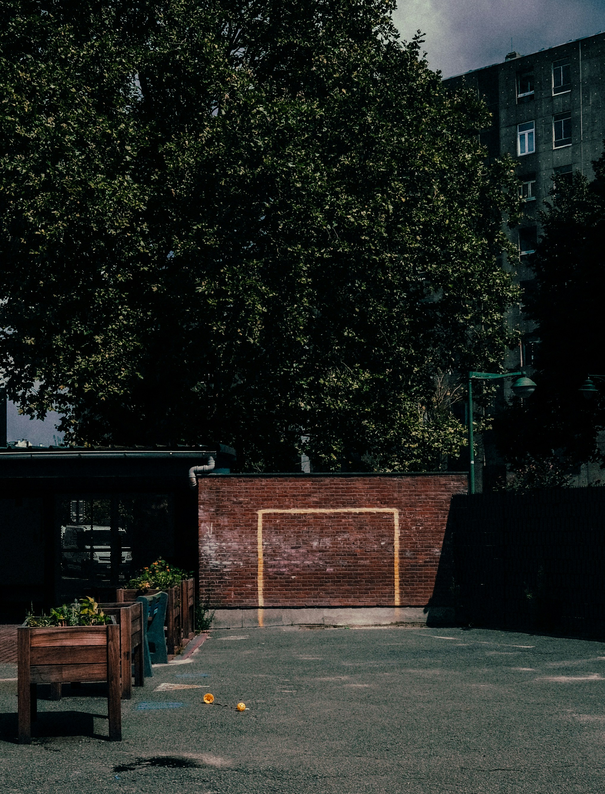 Photo by lorenzosardelli