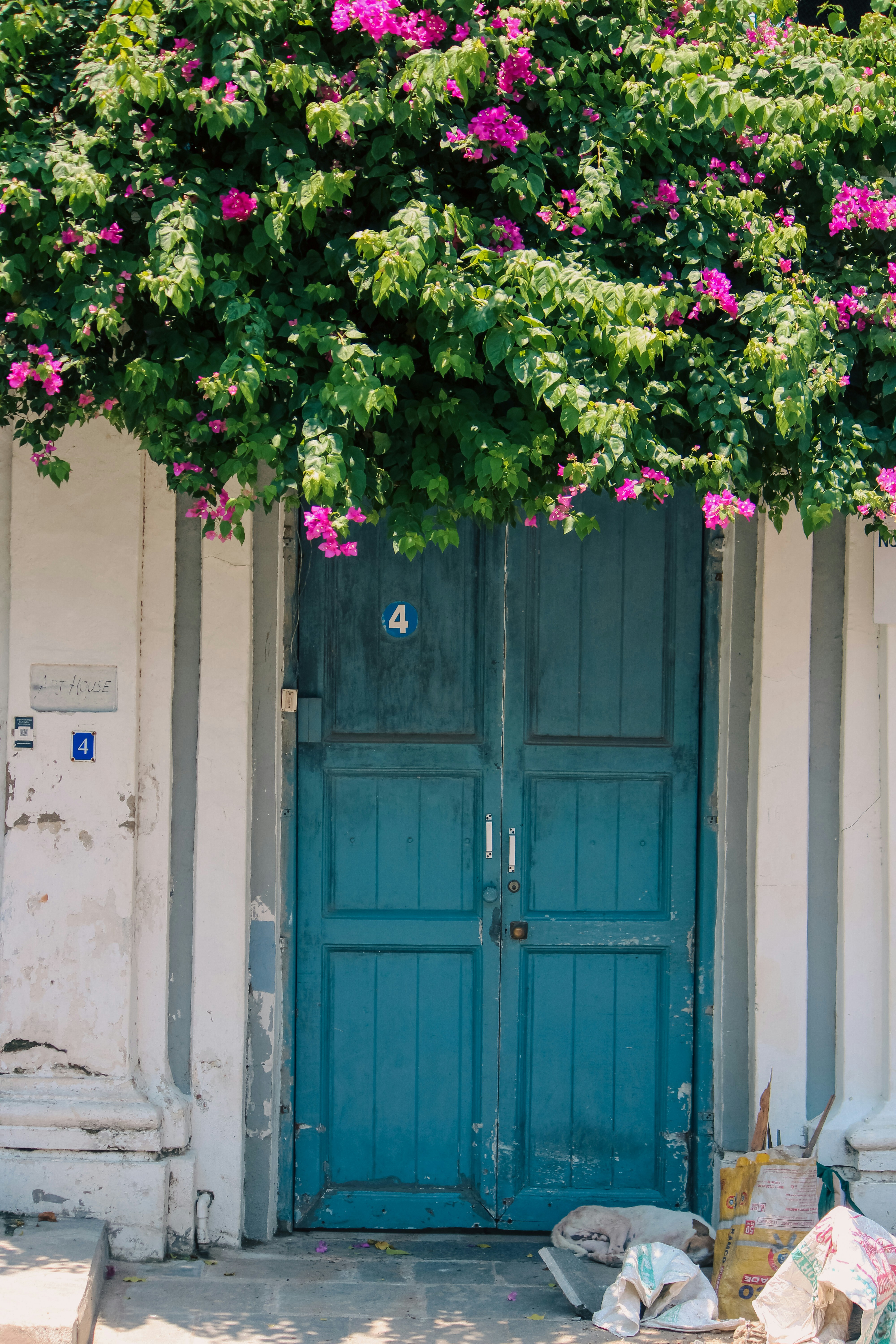 Photo by shots_by_abu