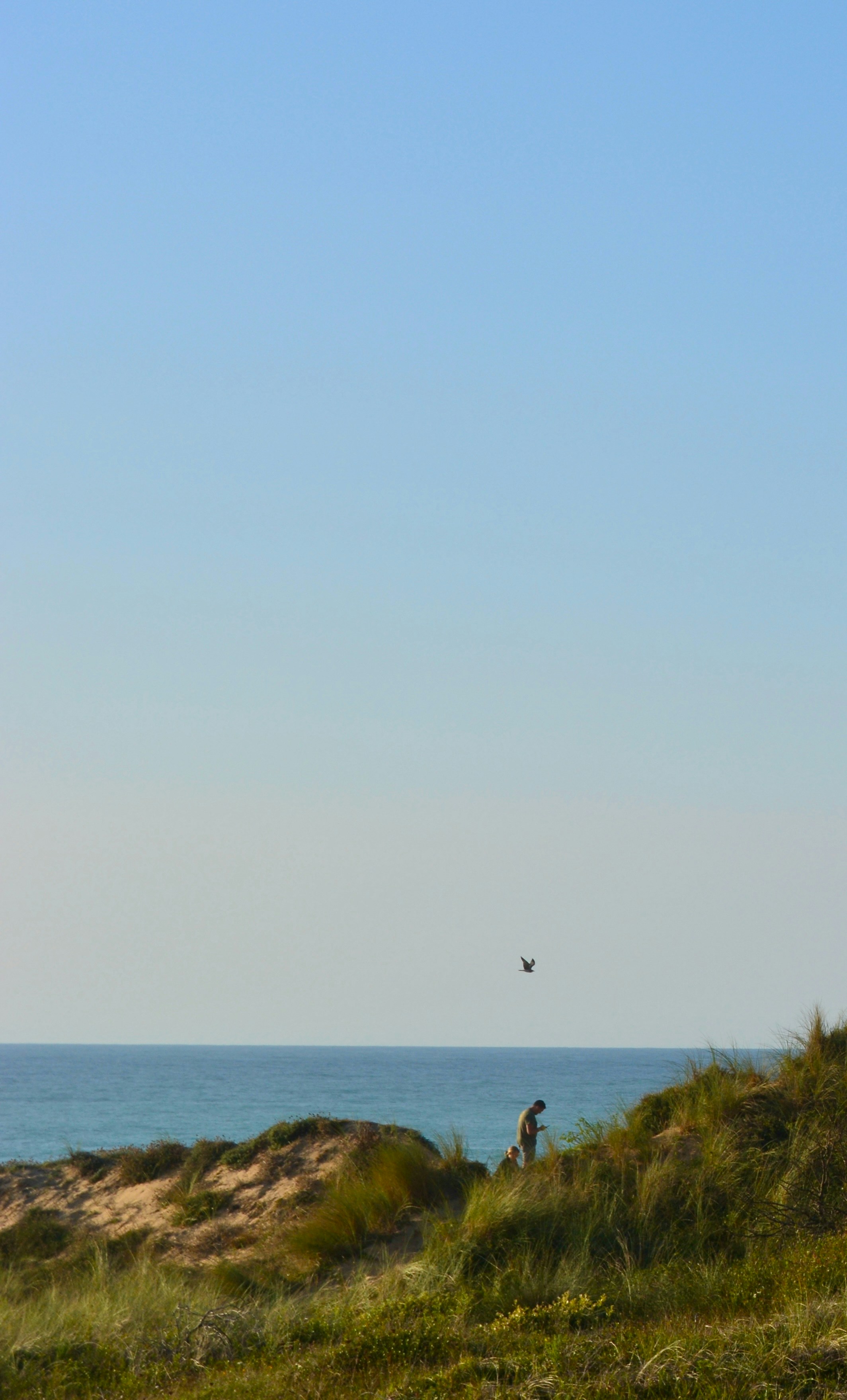 Photo by solmedoariza