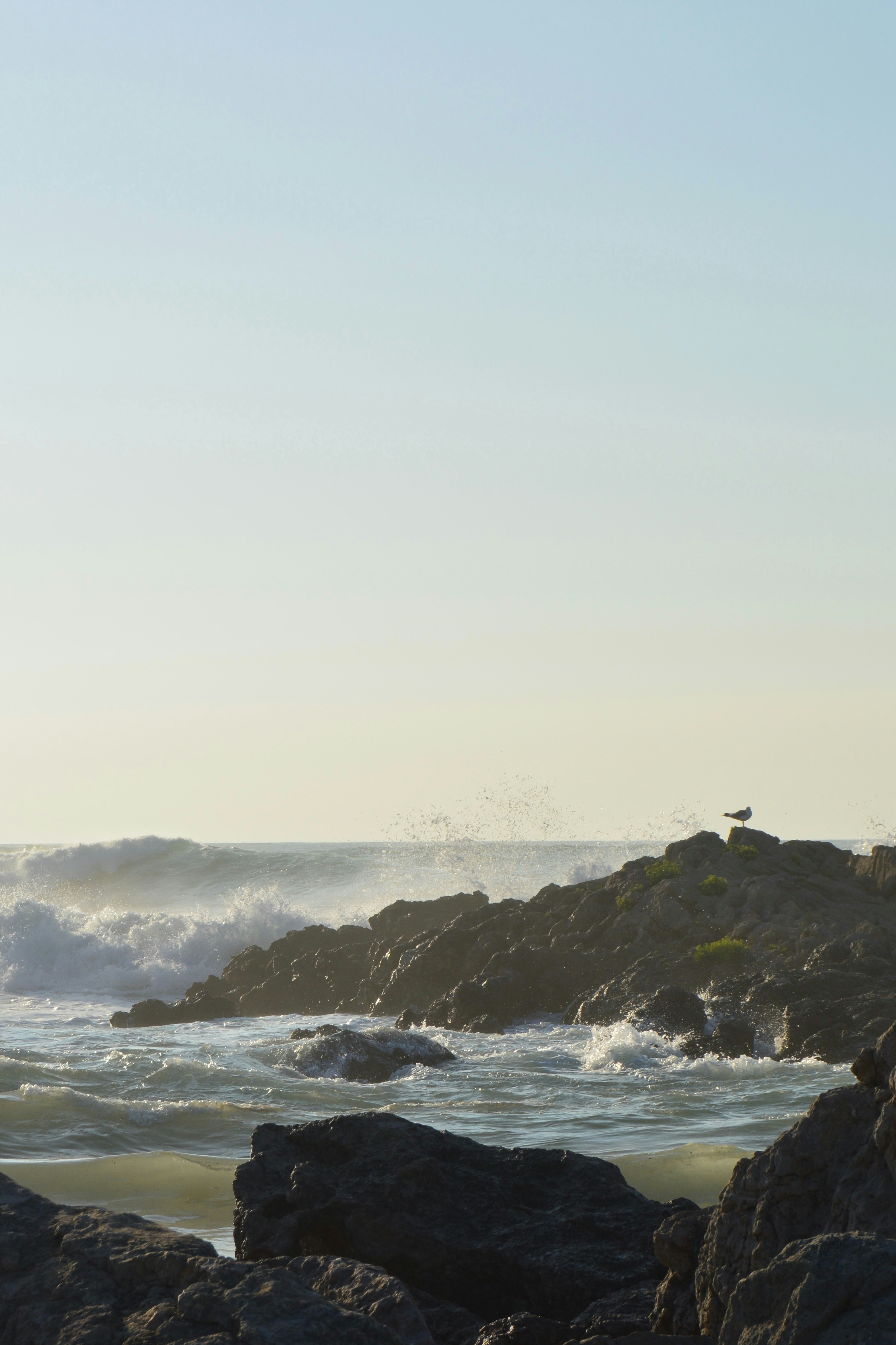 Photo by solmedoariza