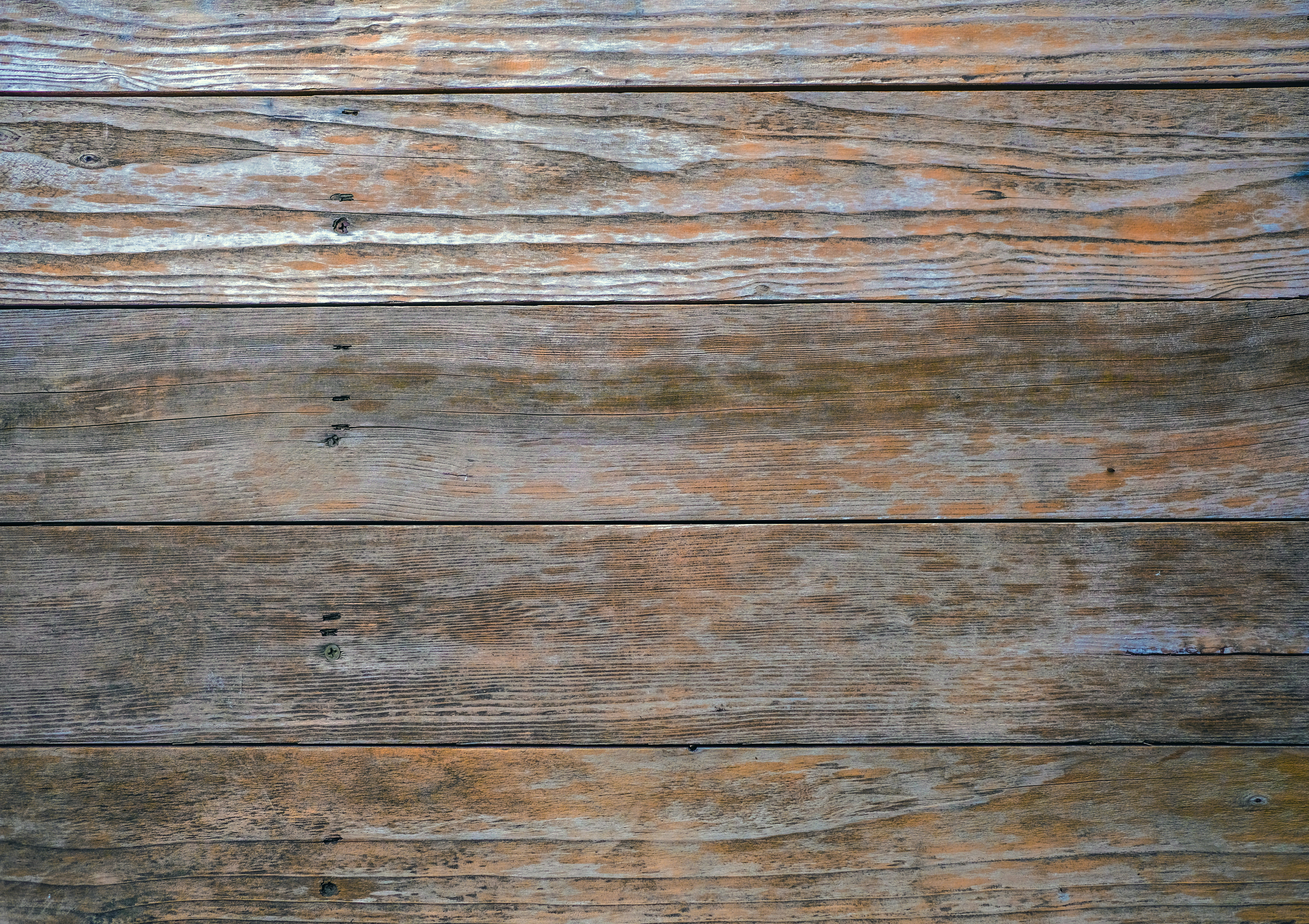 Photo by askarasvarga