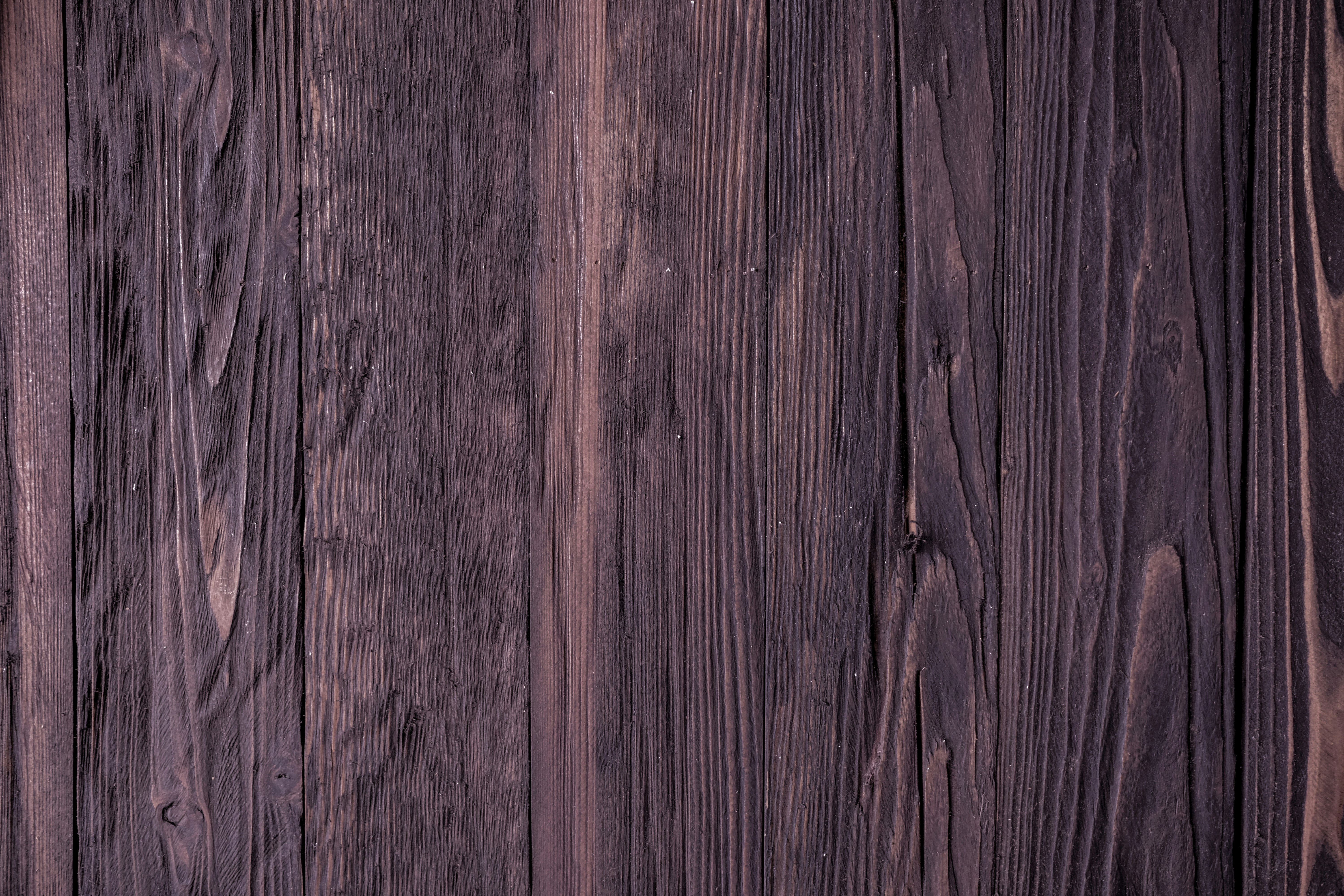 Photo by askarasvarga