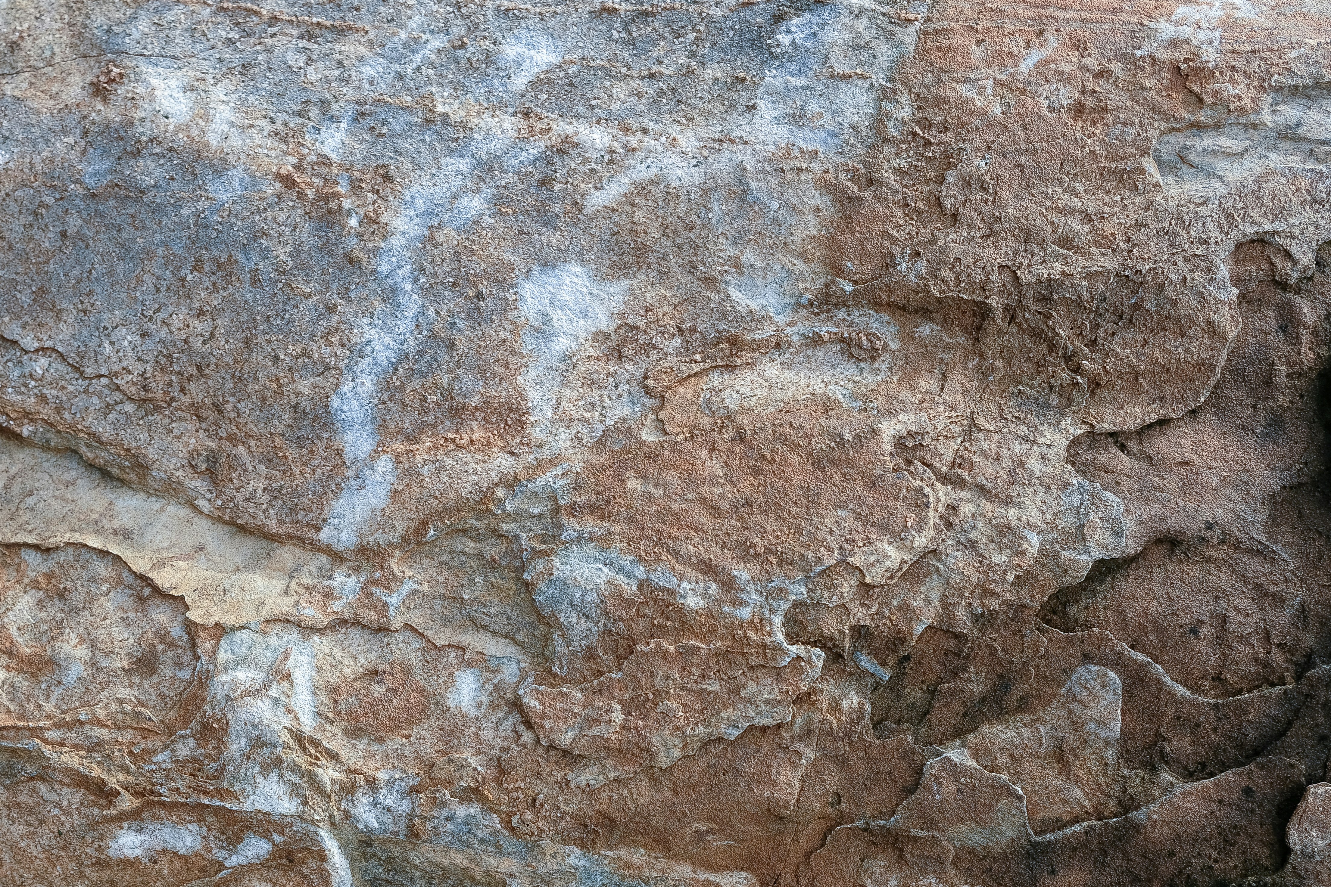 Photo by askarasvarga